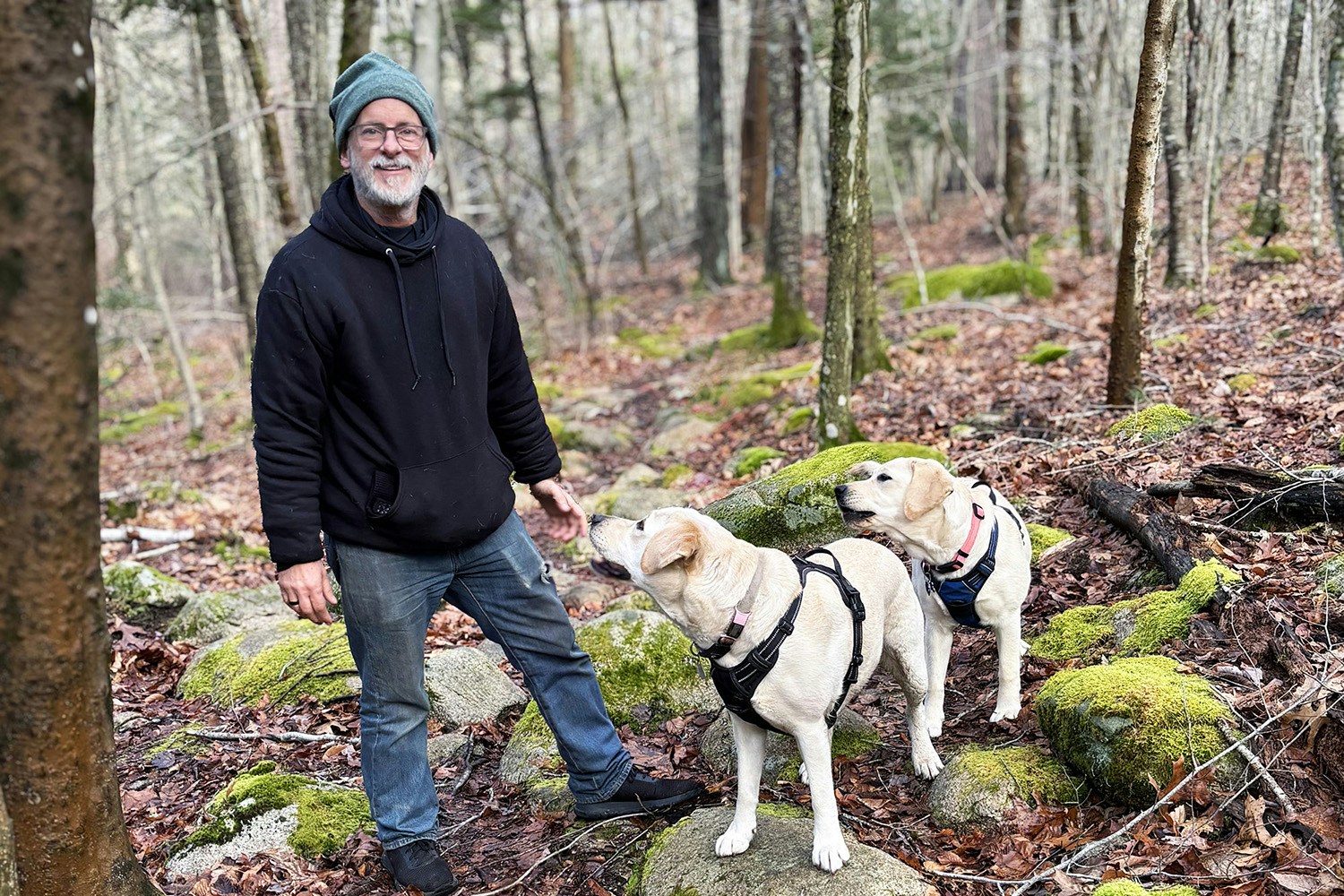 Go to Gabriel Ben-Yosef's profile