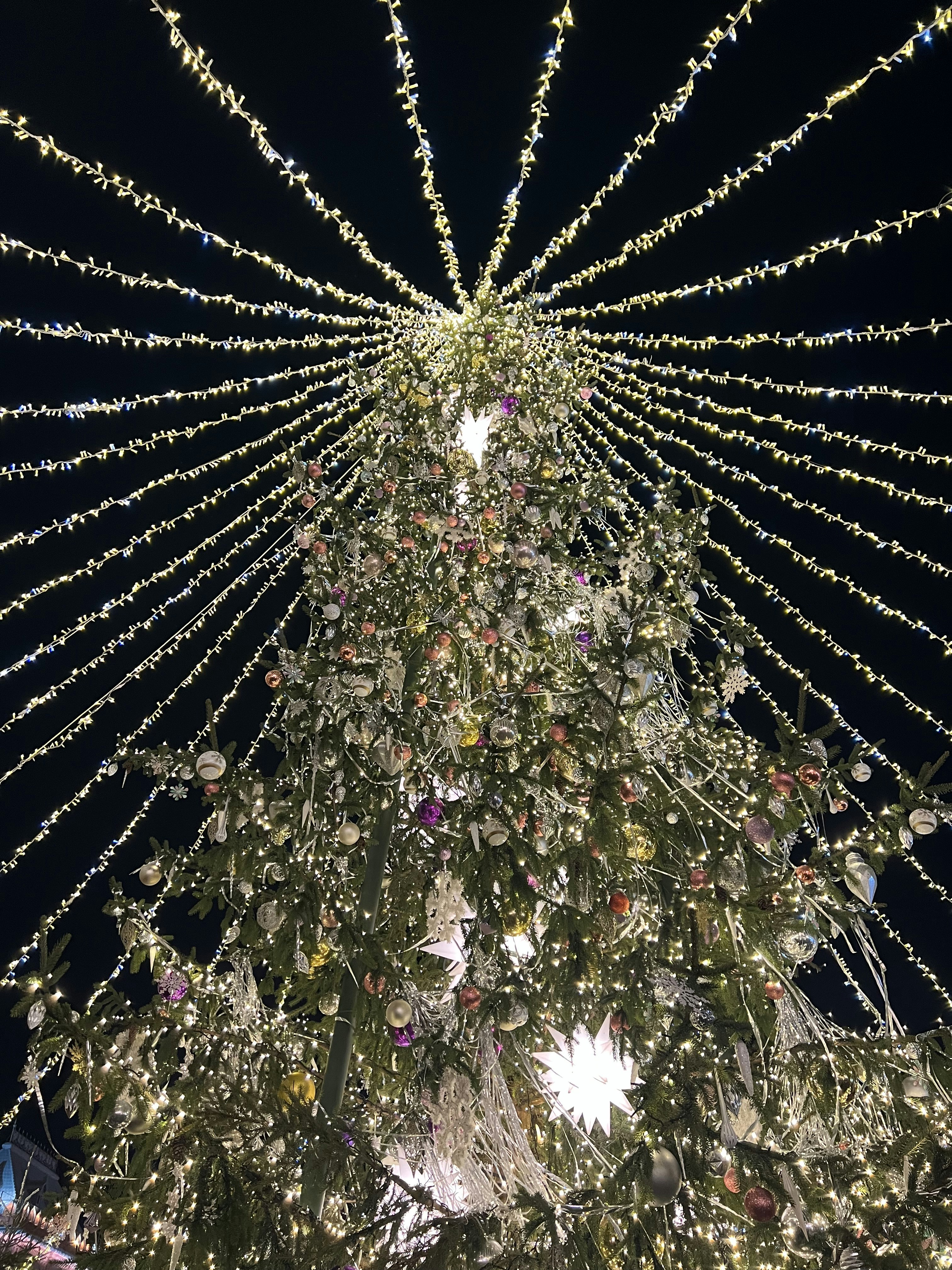 Avatar of user Cherish Moments