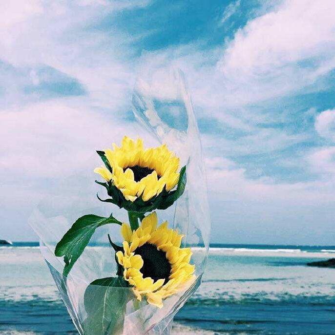 Lu Ziyangのプロフィールを見る