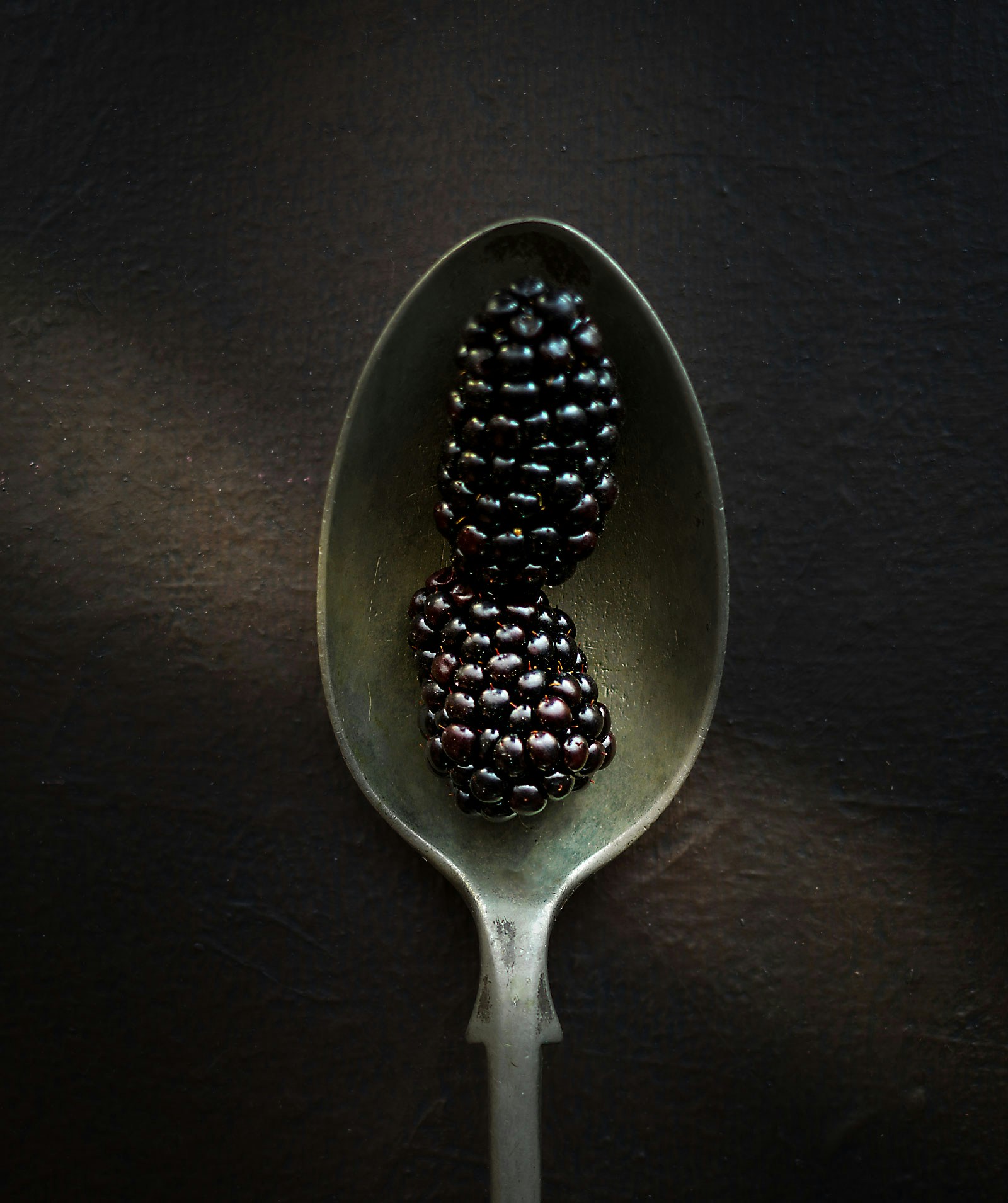 Go to Mike Kenneally's profile