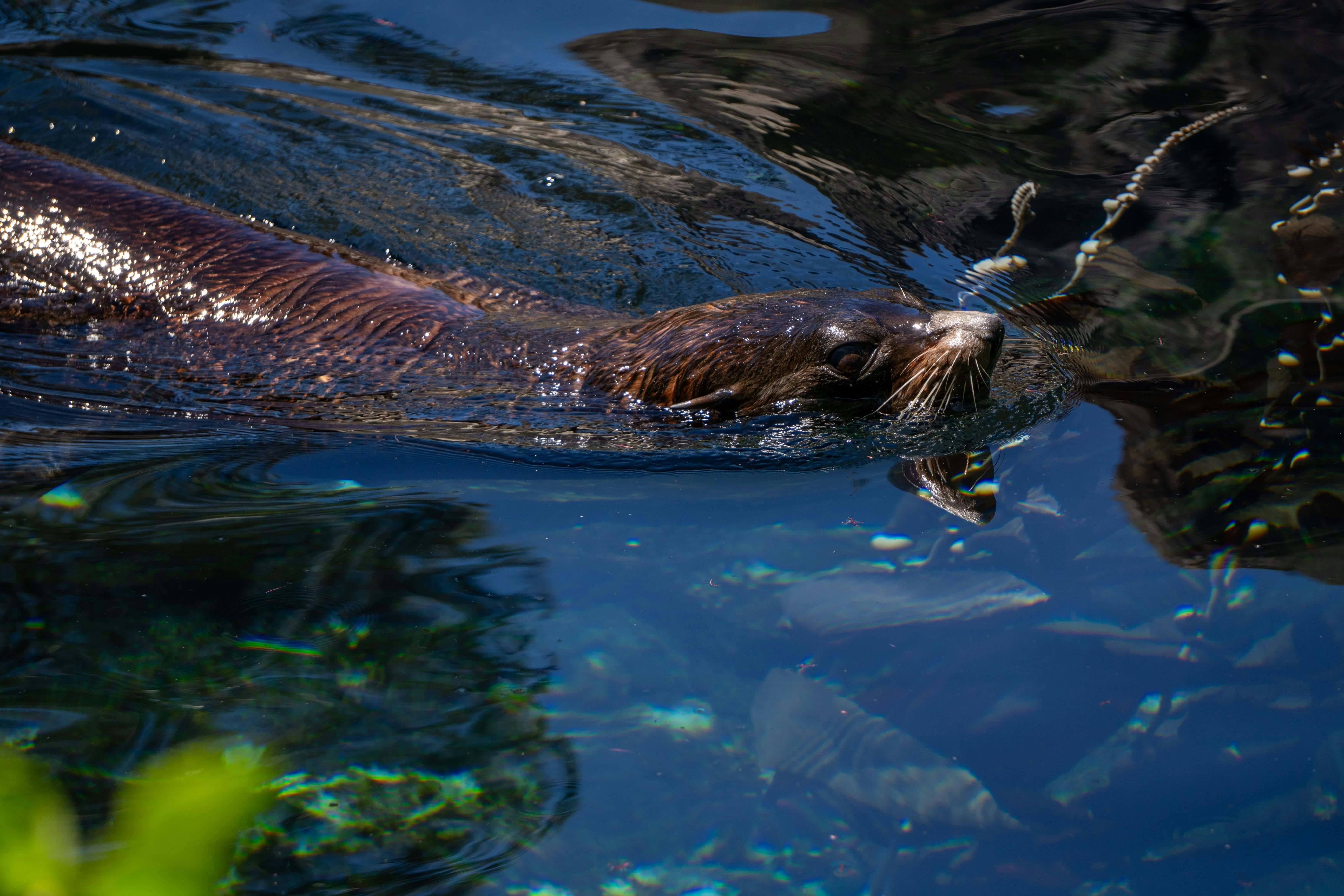 Zum Profil von Emma Li