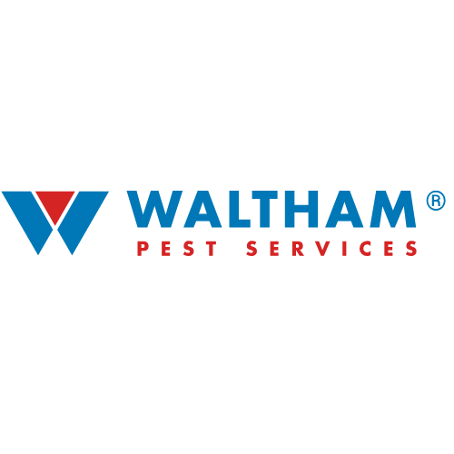 Unsplash profile picture for @waltham