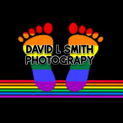 Go to David L Smith's profile