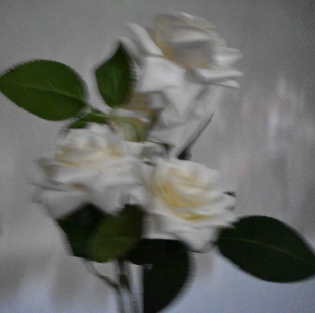 Ir para o perfil de ling feng