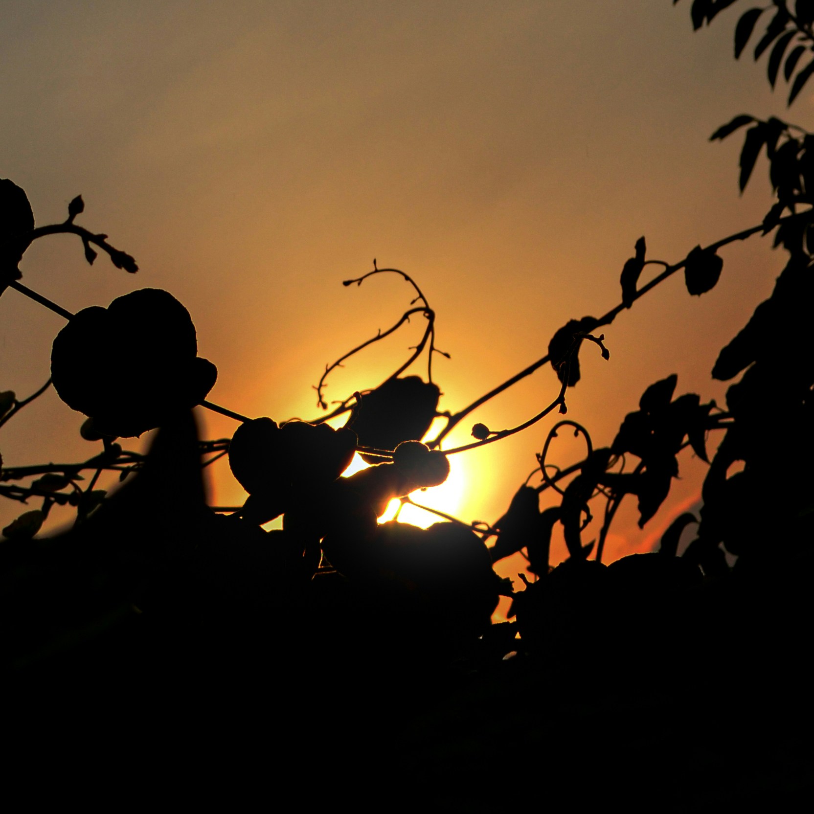 Go to Danil Shvaika's profile