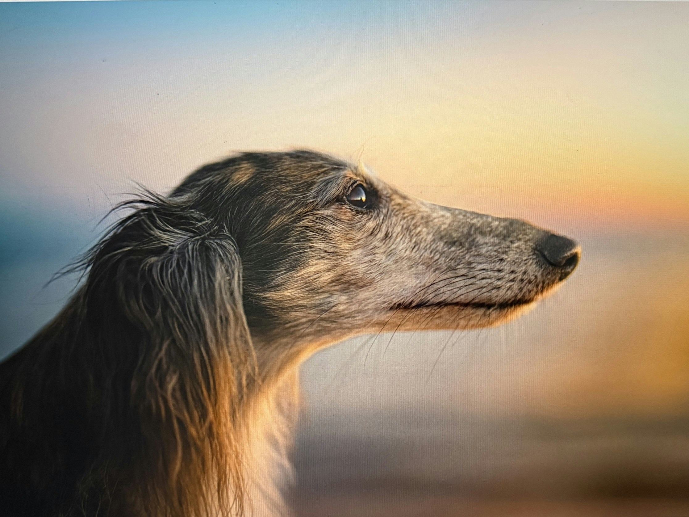 Go to Jackie Best's profile