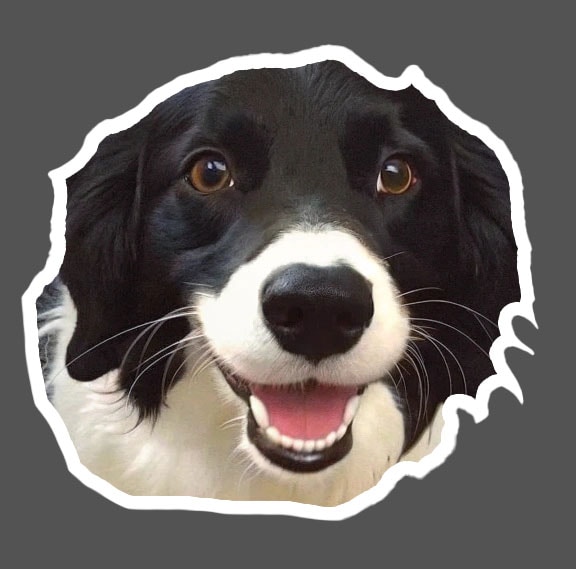 Zum Profil von Ed Hardie