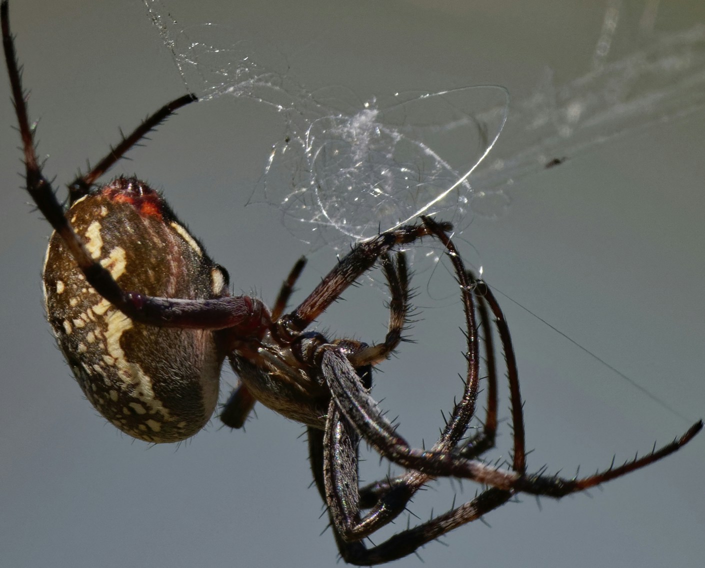 Go to Patrick Bigelow's profile