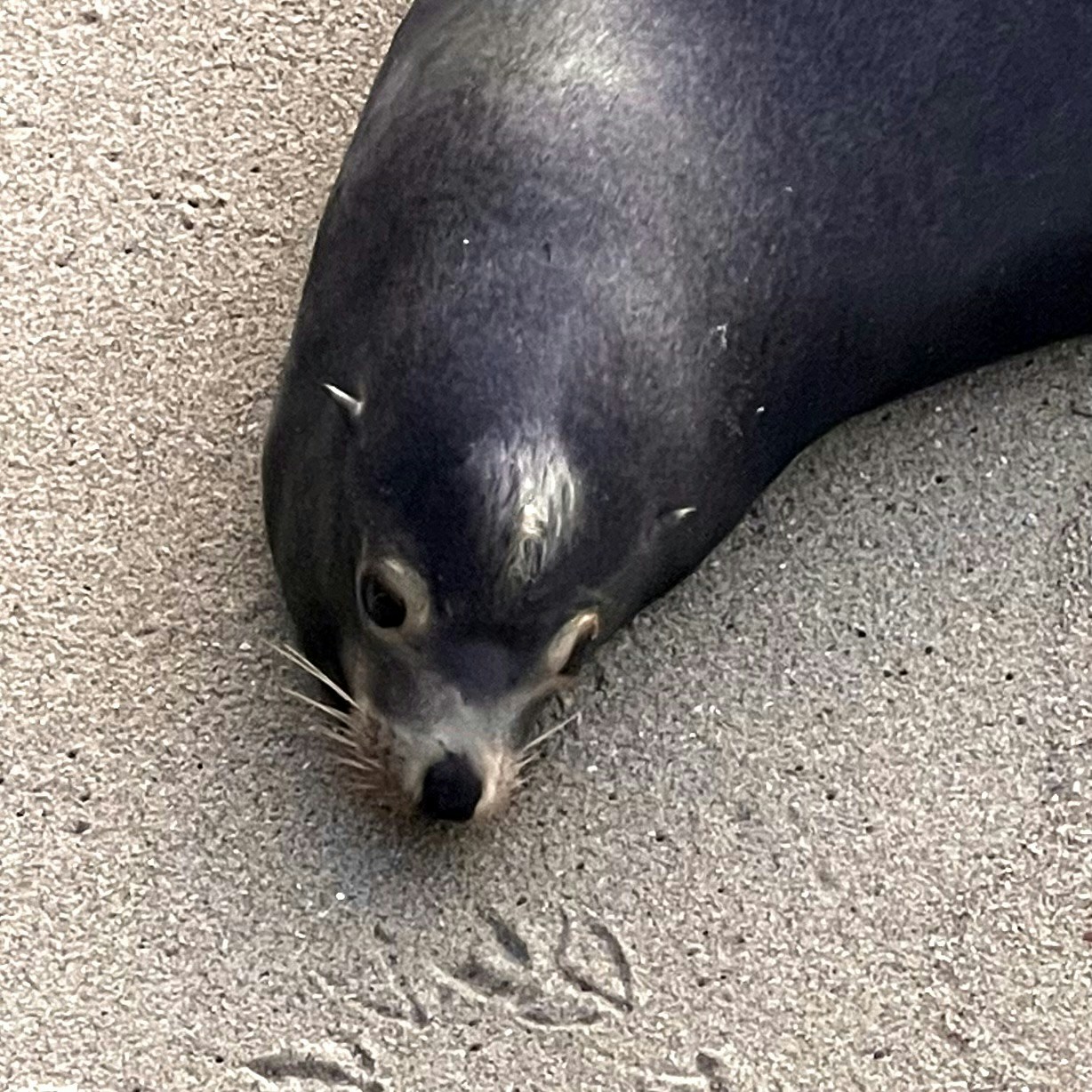 Go to Micah Fluhart's profile