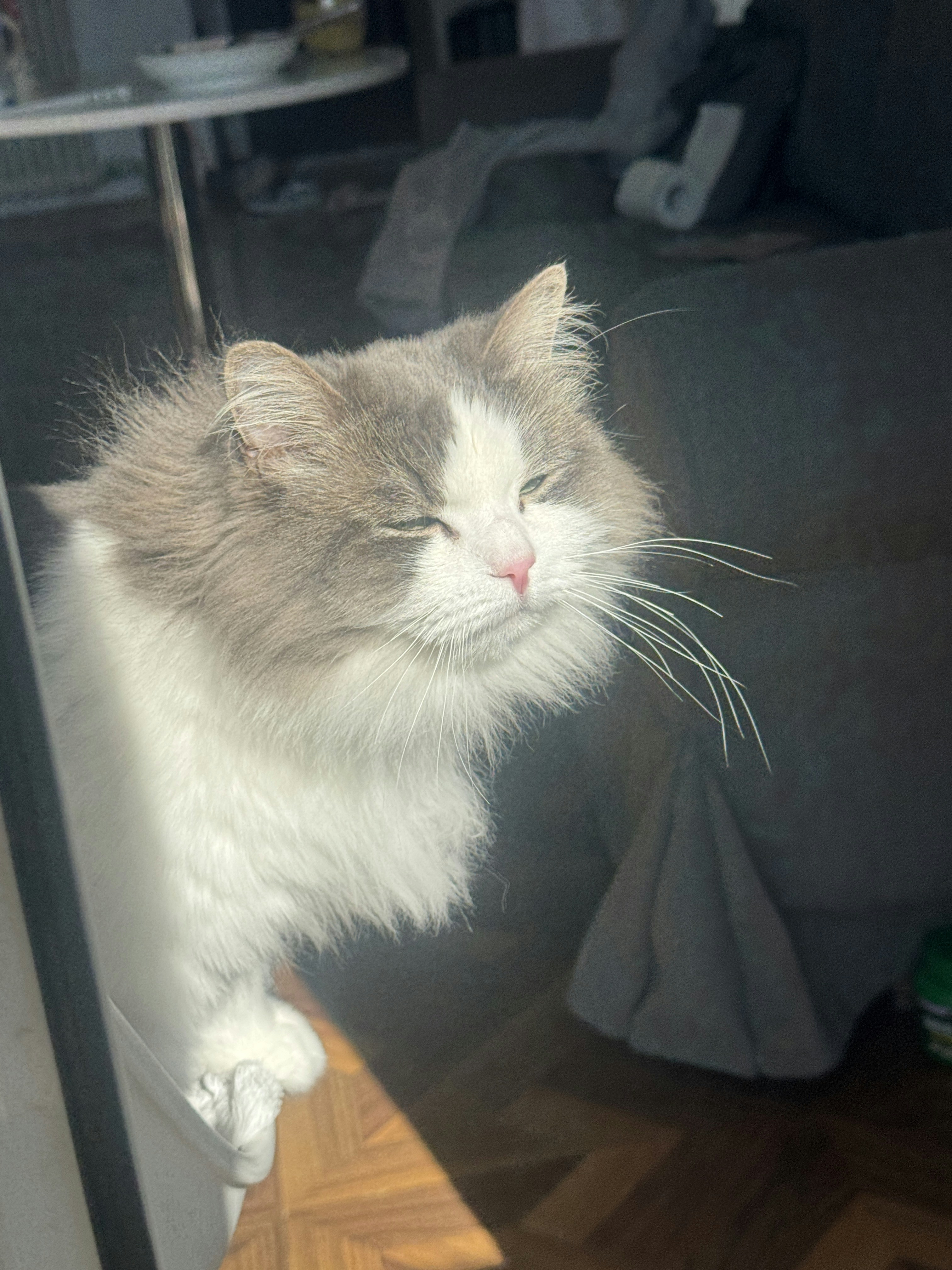 Zum Profil von 萧羽 李