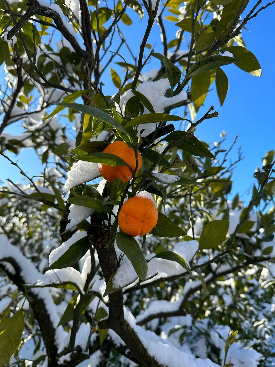 Go to Agatha Savina's profile