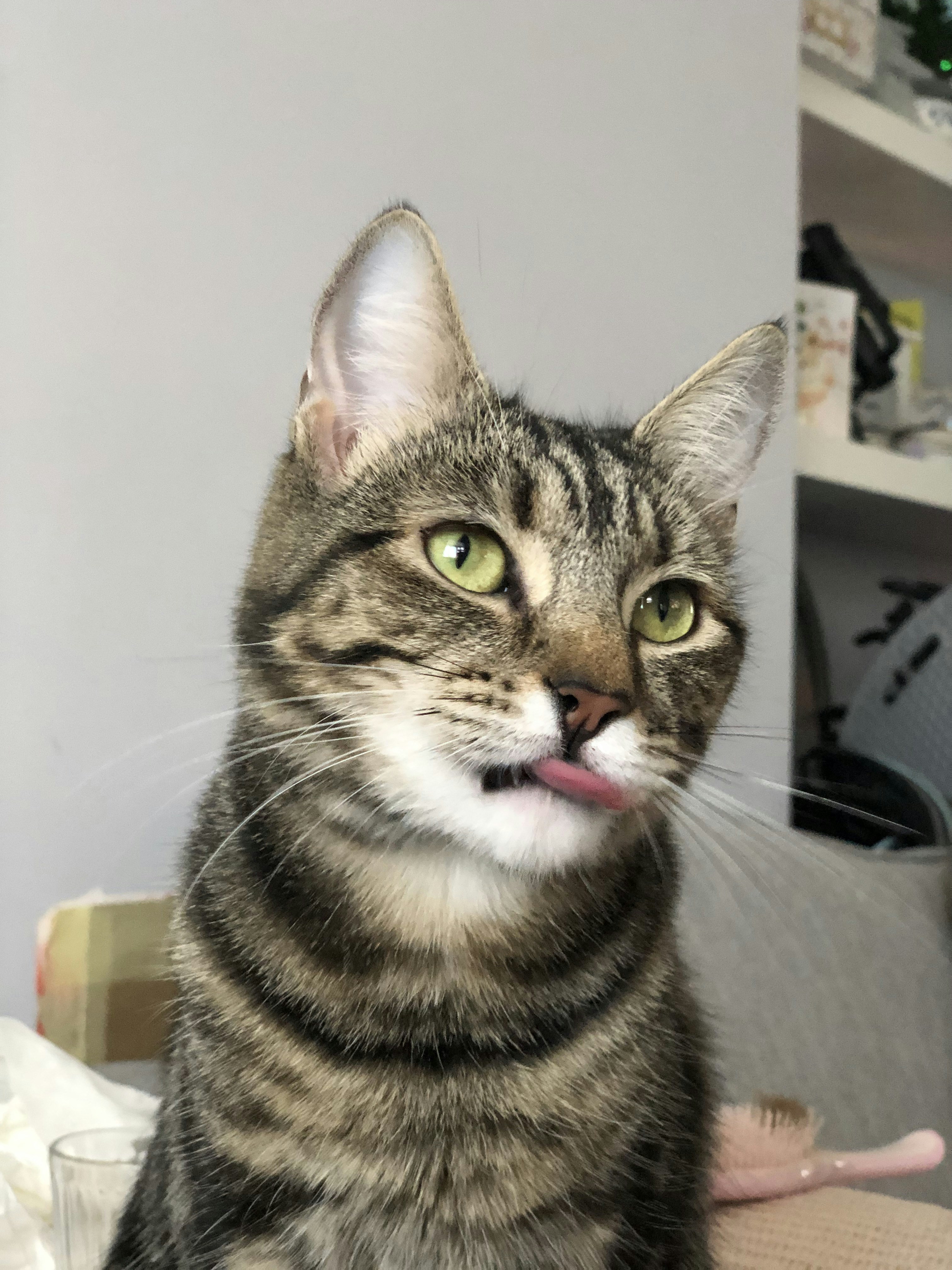 Go to Morgan Jai's profile