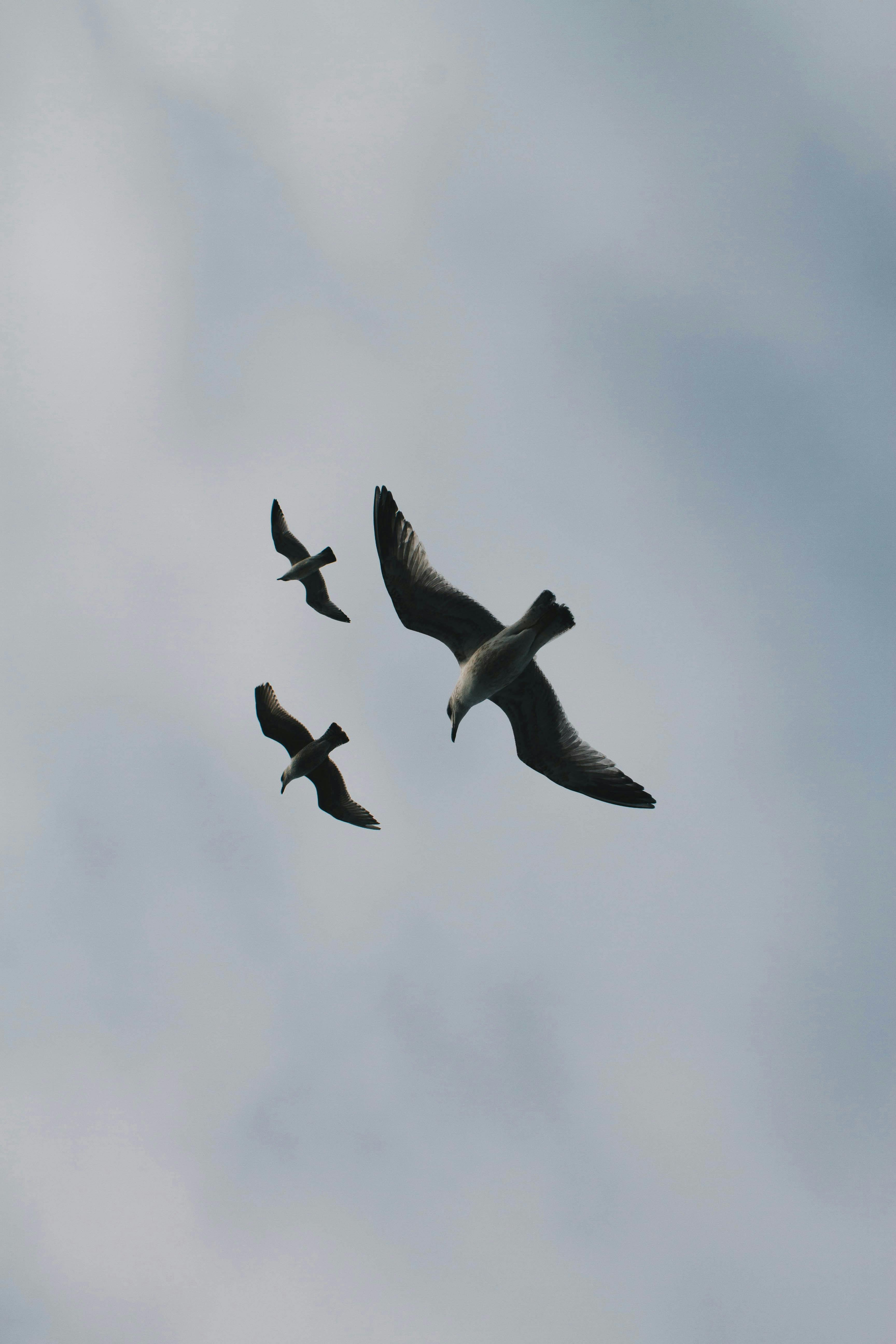 Go to Nicky Ilhamsyah's profile