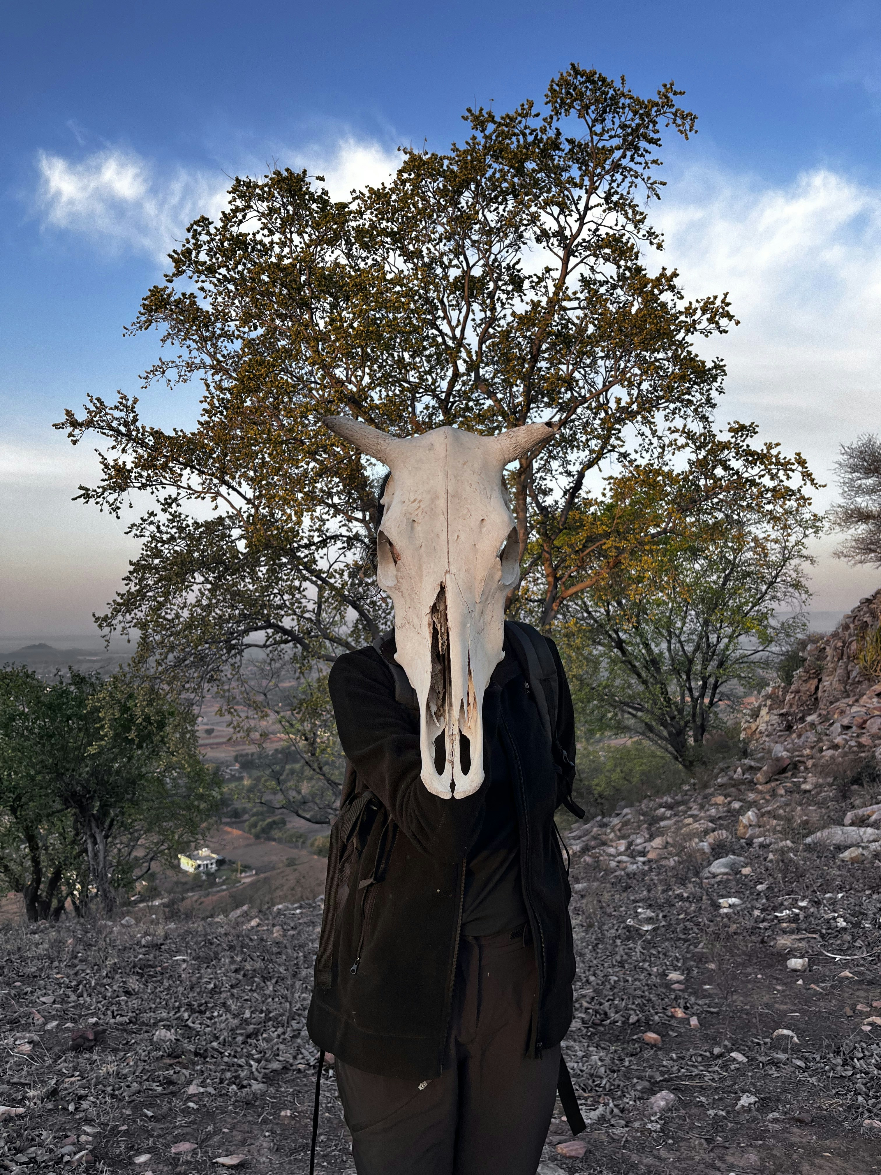 Go to Via.Thirteen's profile