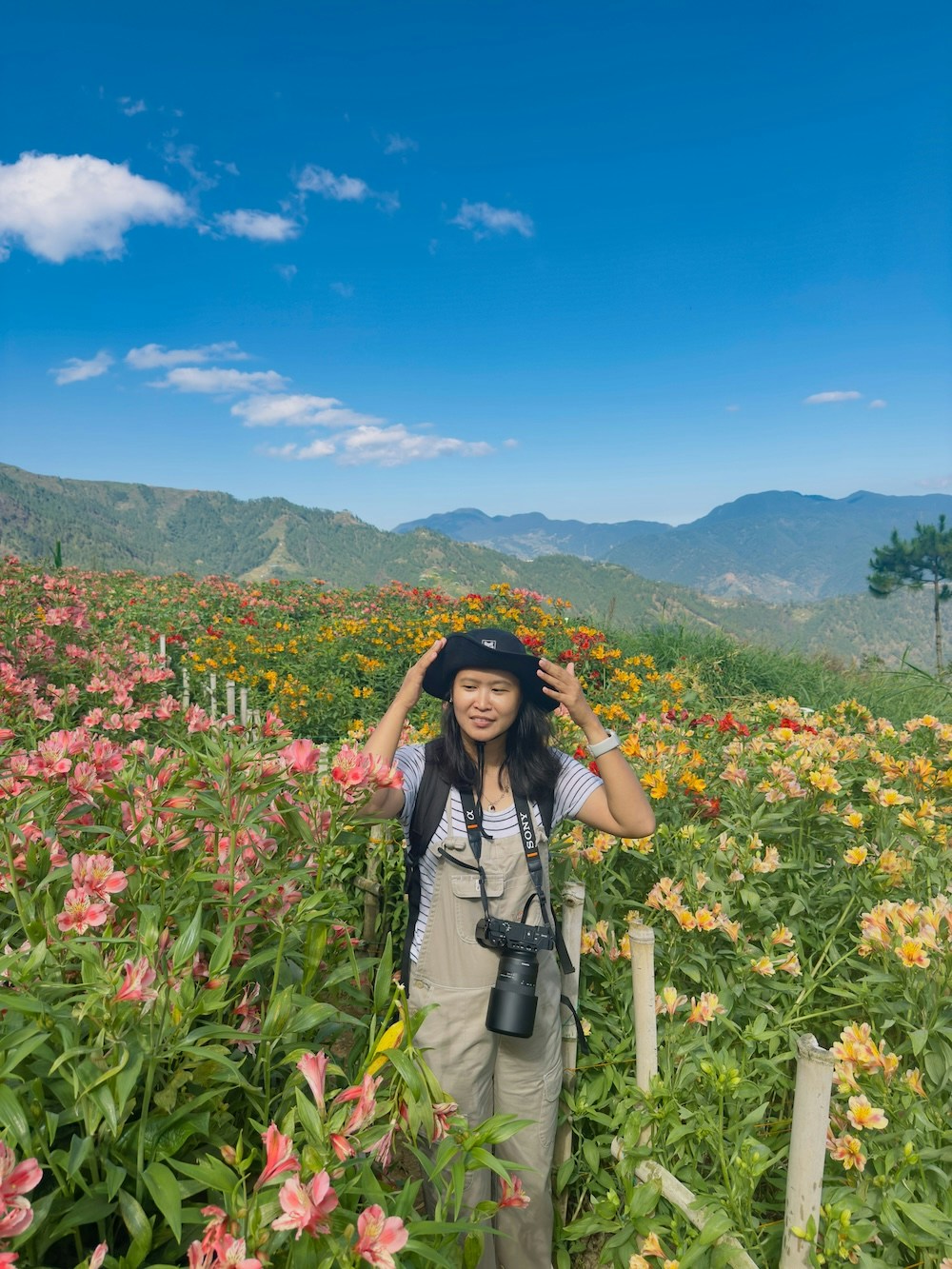 Go to KJ Gonzales's profile