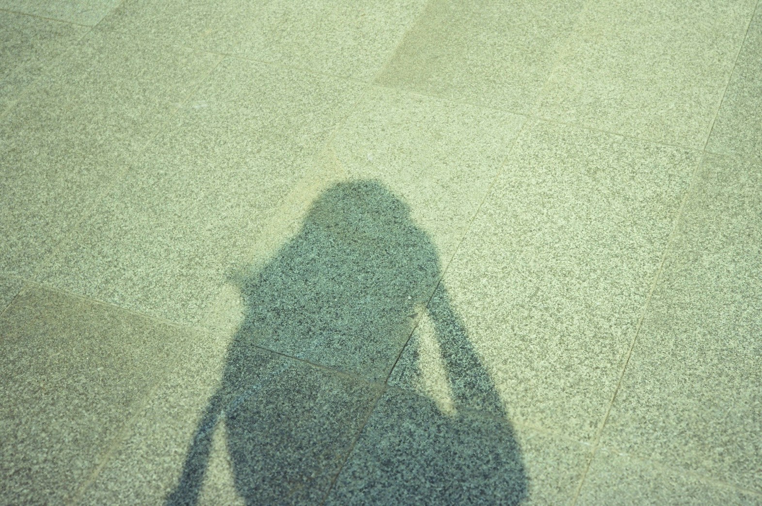 Zum Profil von Rizkania Amaranggana