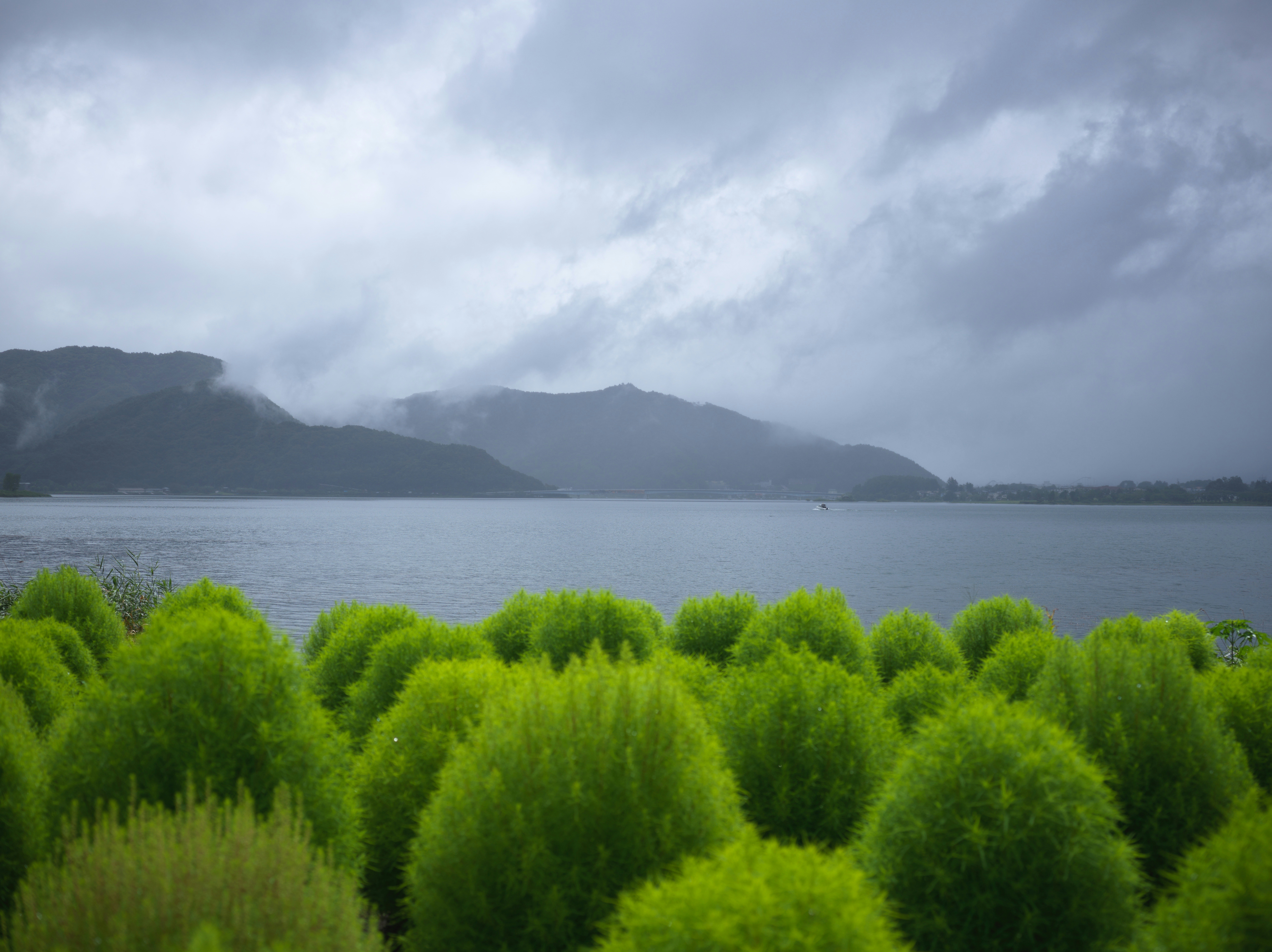 Go to XELAphotograph's profile