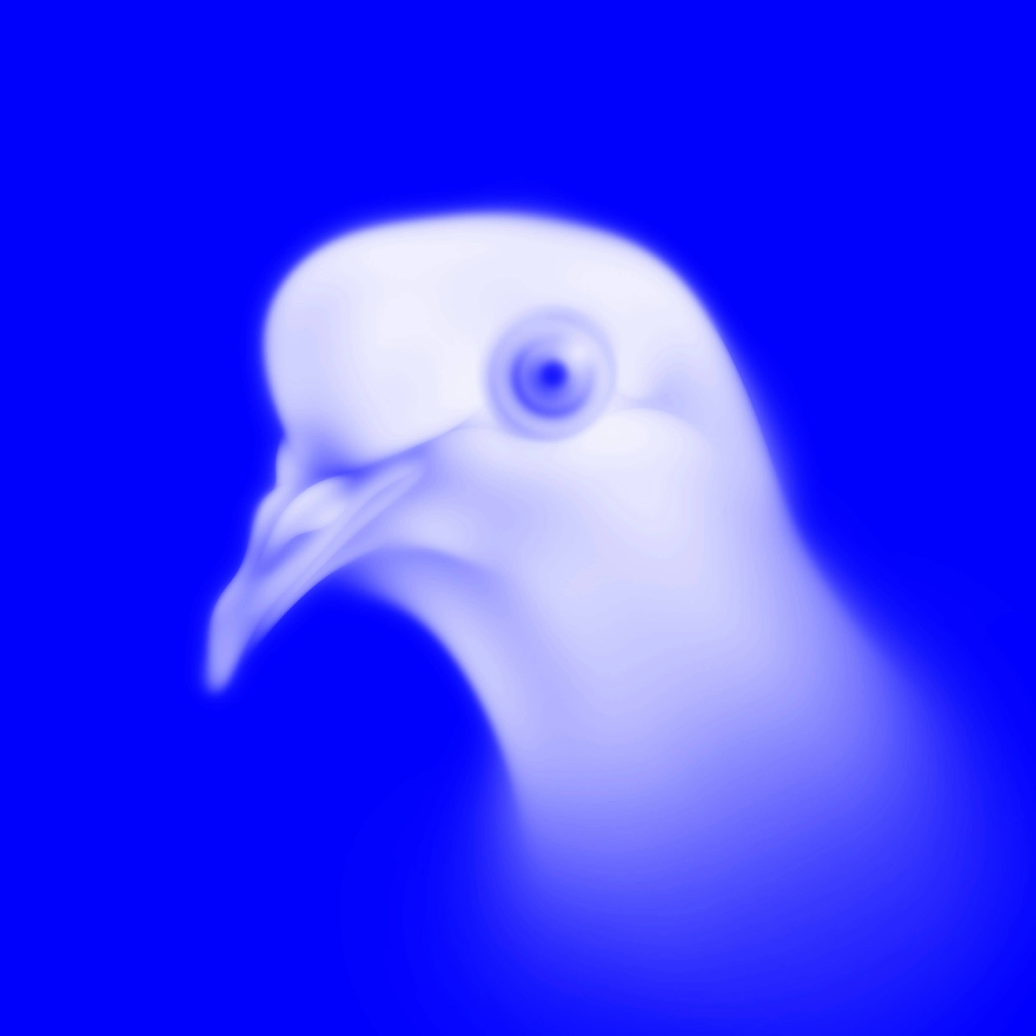 Go to Mamaz Alaei's profile