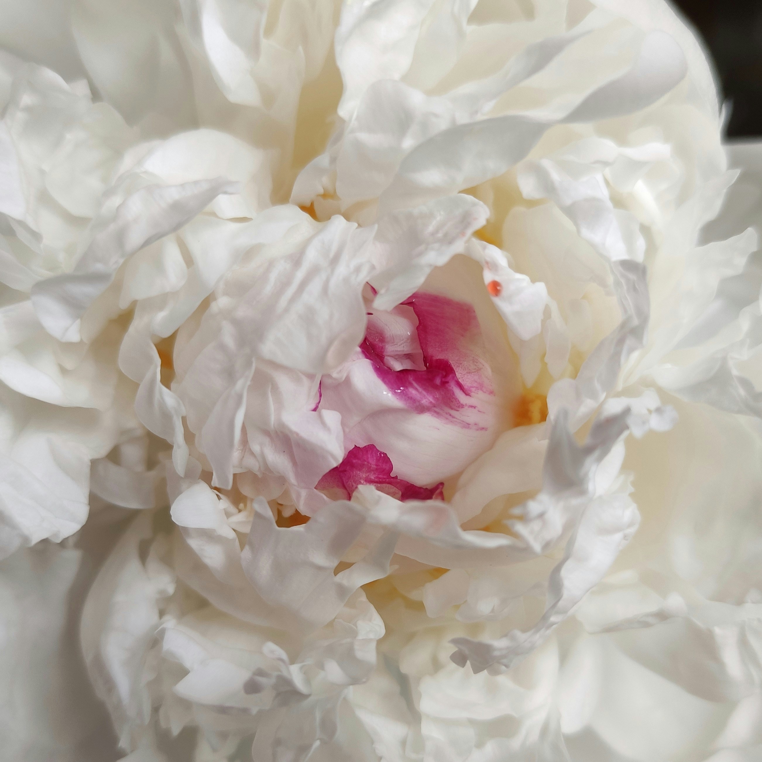 Go to Alina's profile