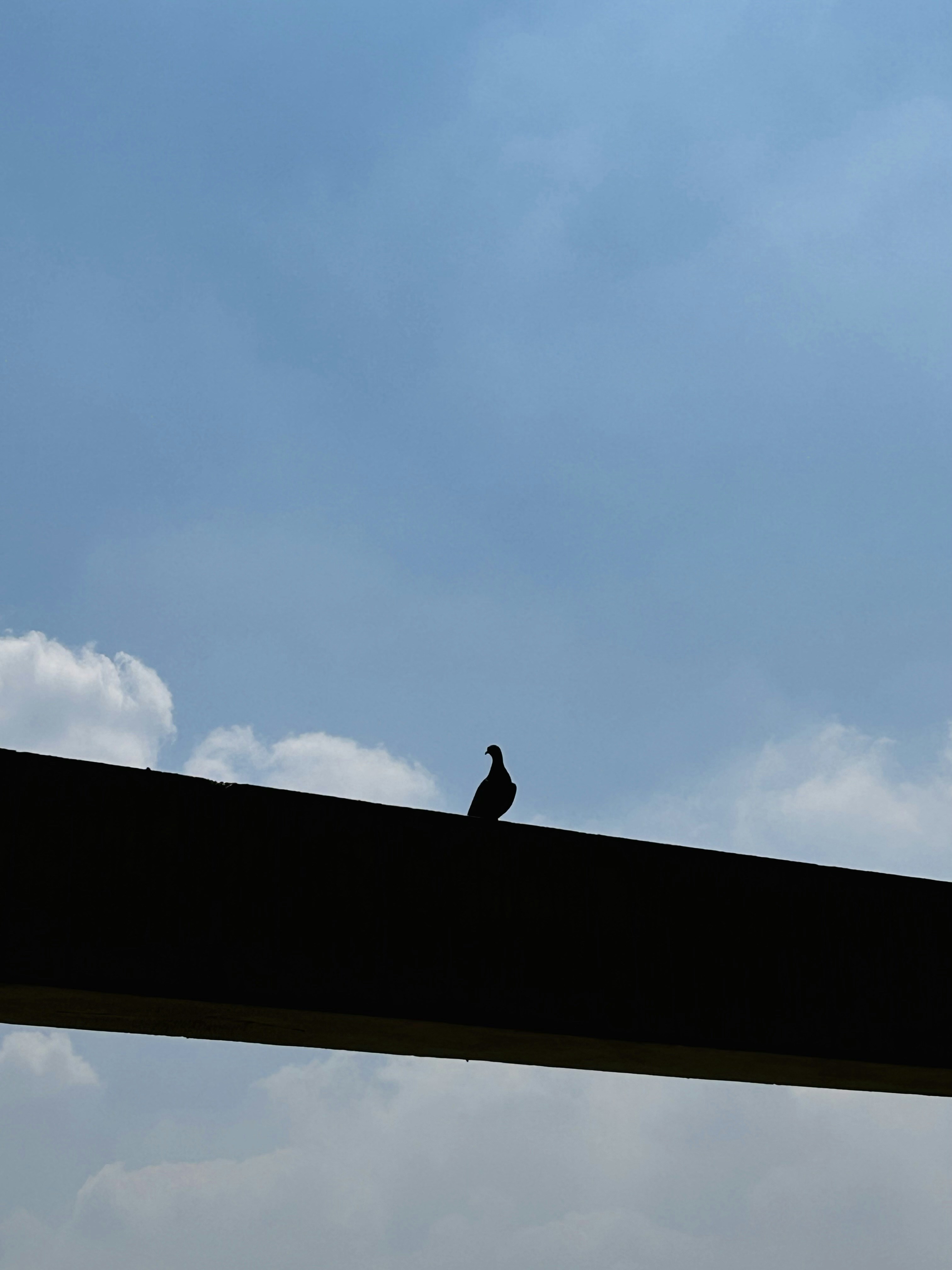 Go to Chirag Haldar's profile