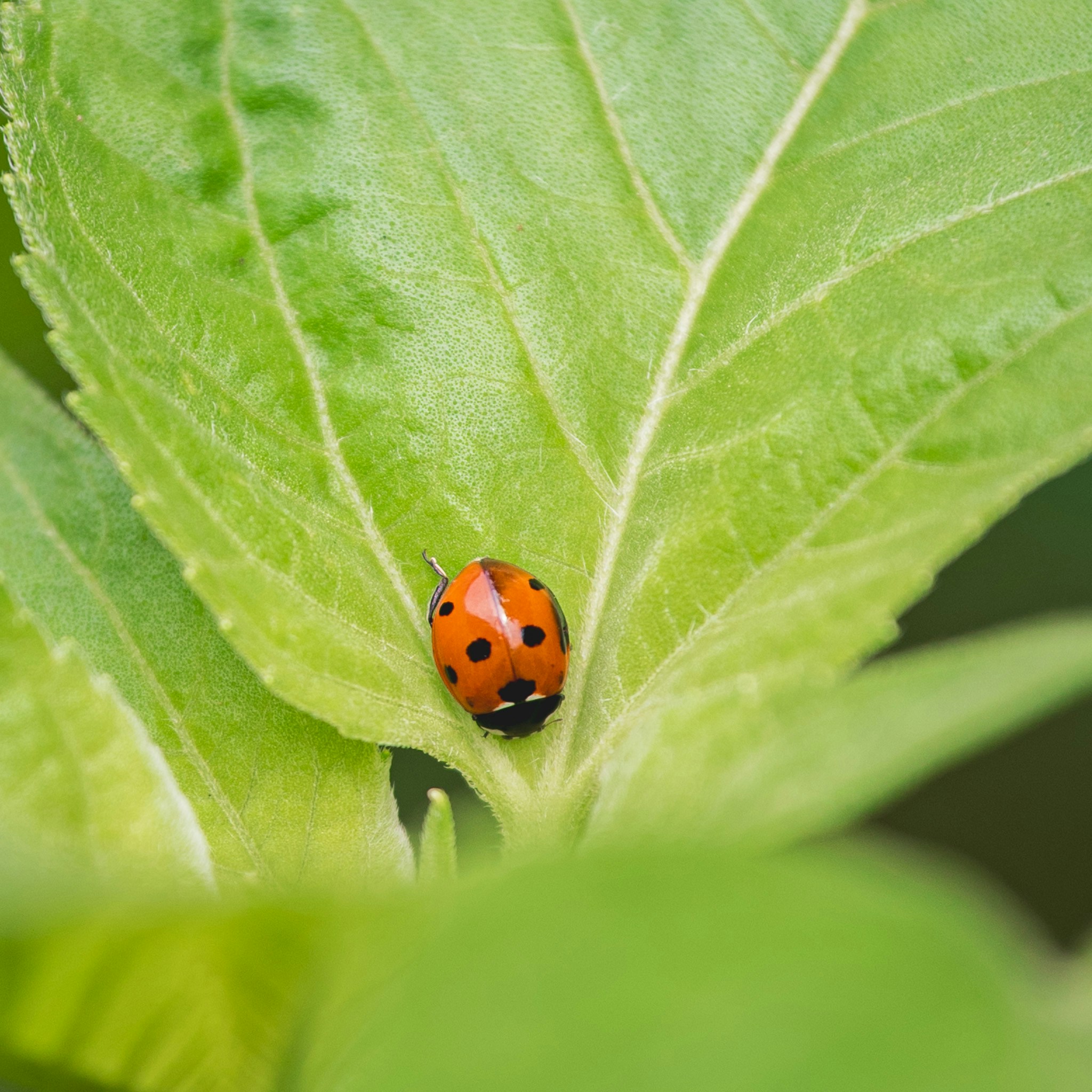 Go to Elly M's profile