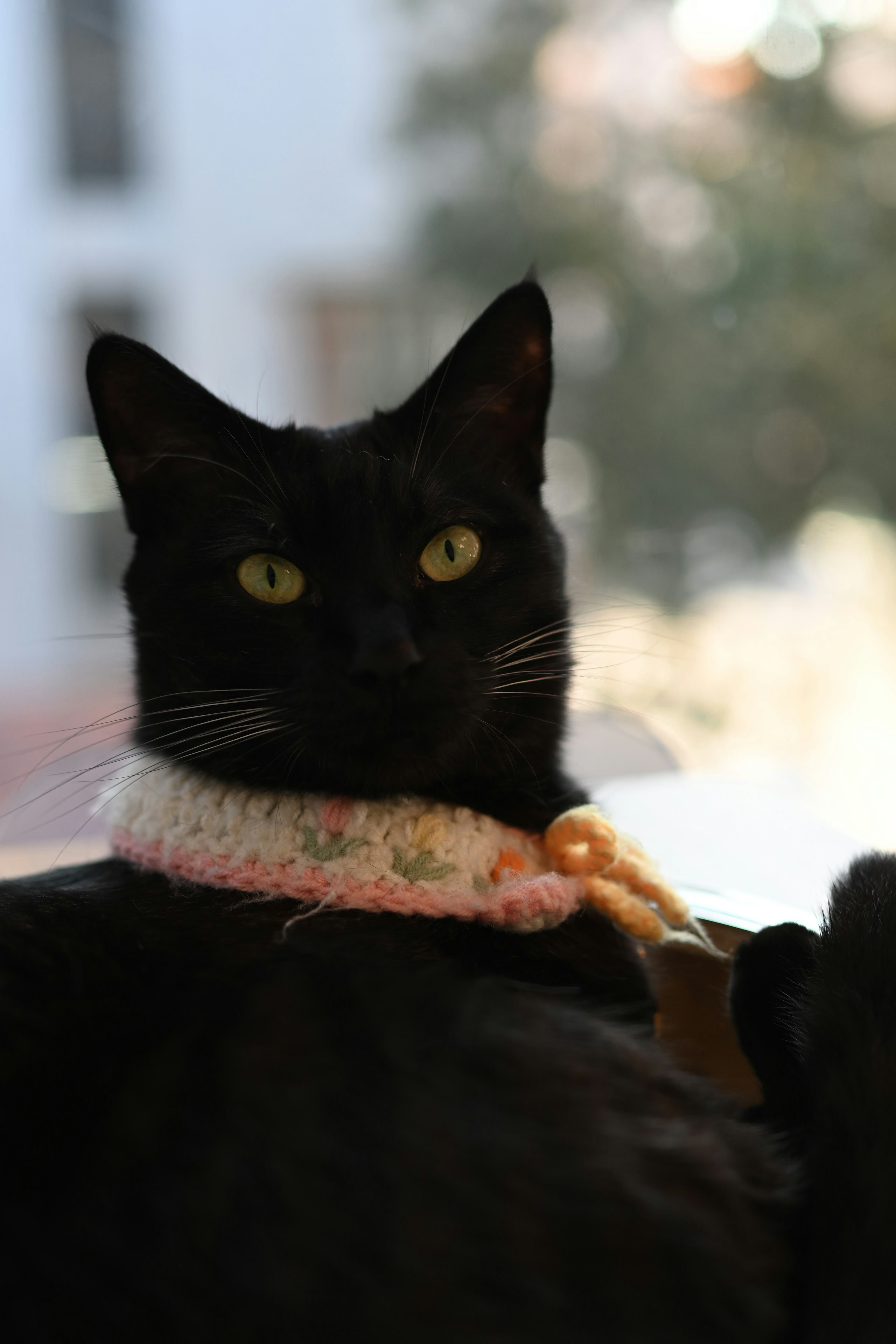 Go to Thomas Lai's profile