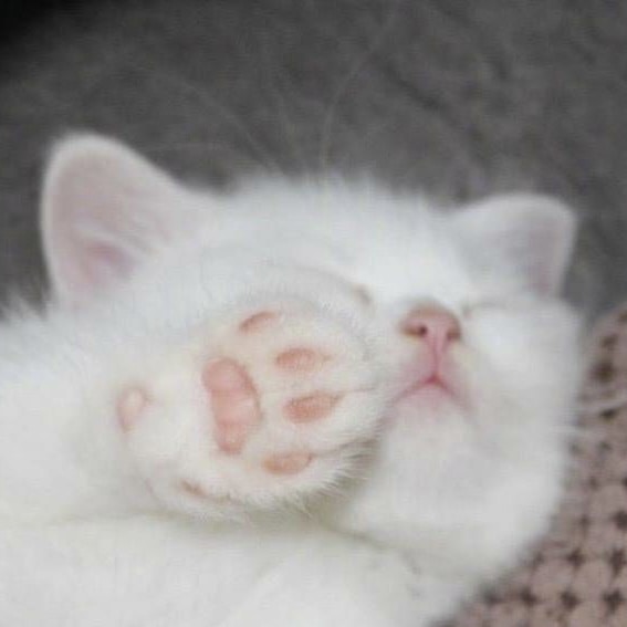 Vai al profilo di Daniel Zhang