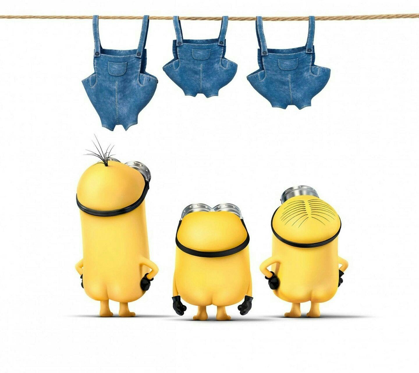 Vai al profilo di Siwei Li