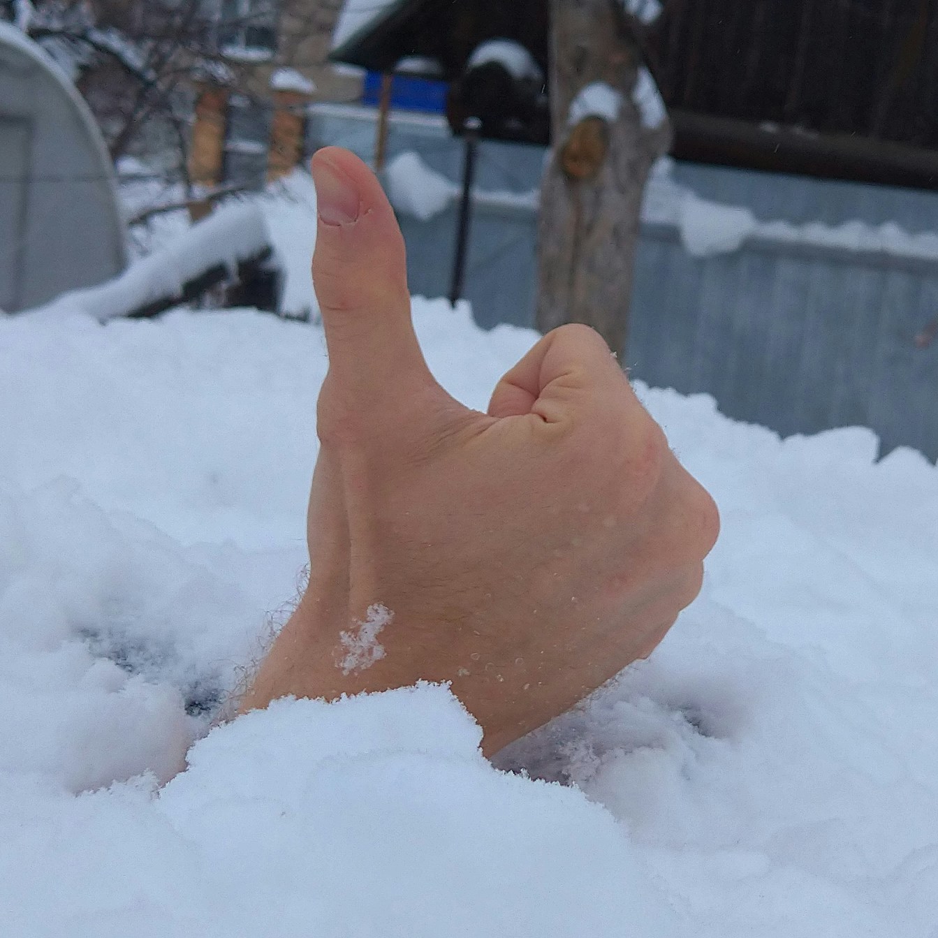 Zum Profil von Adel Valeev