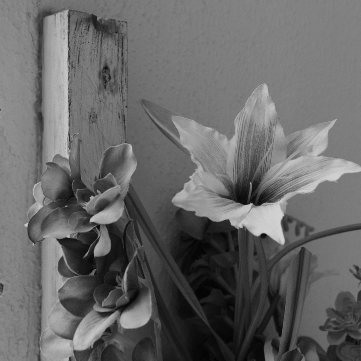 S A의 프로필로 이동