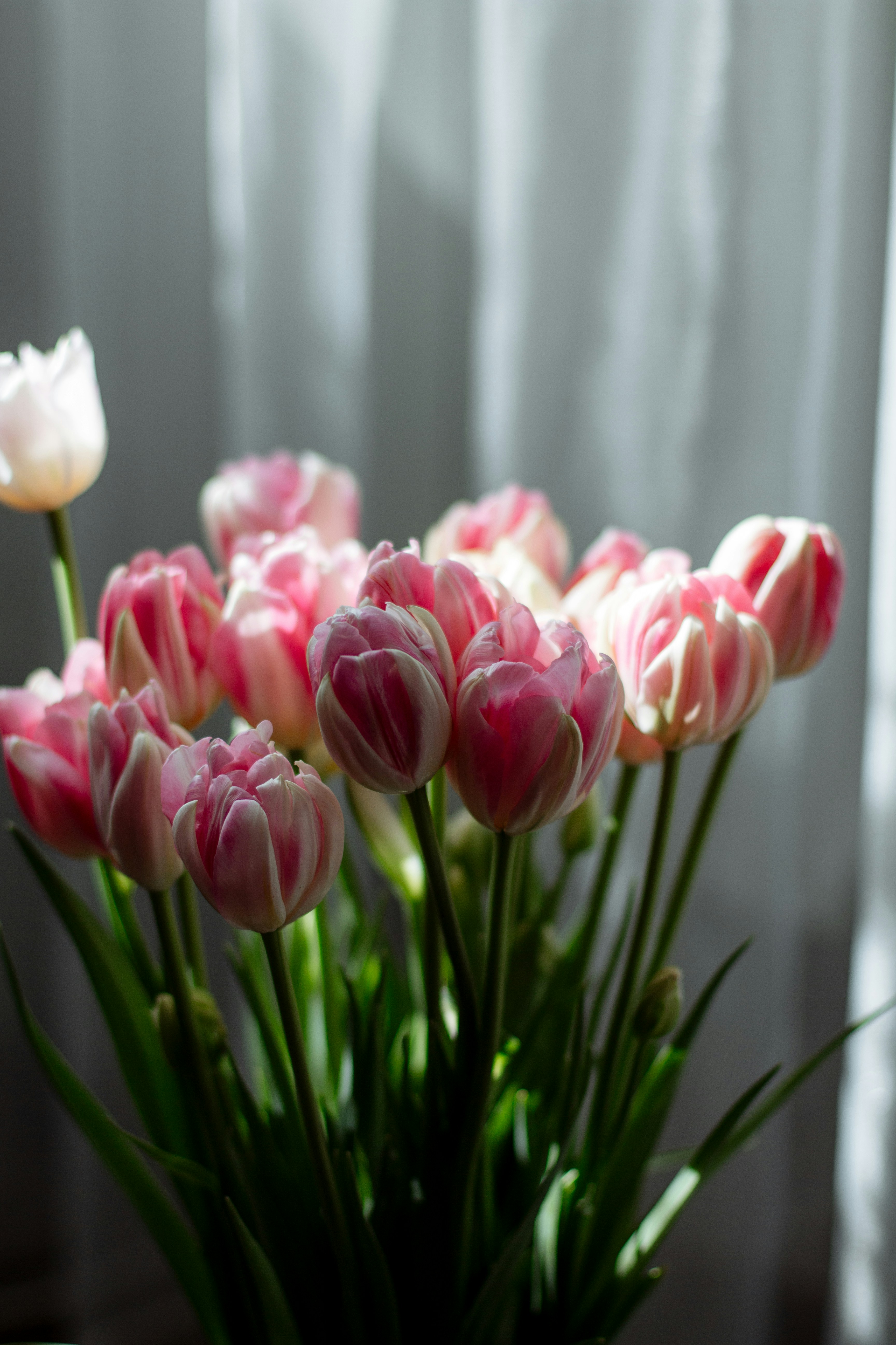 Accéder au profil de Valeria Bold