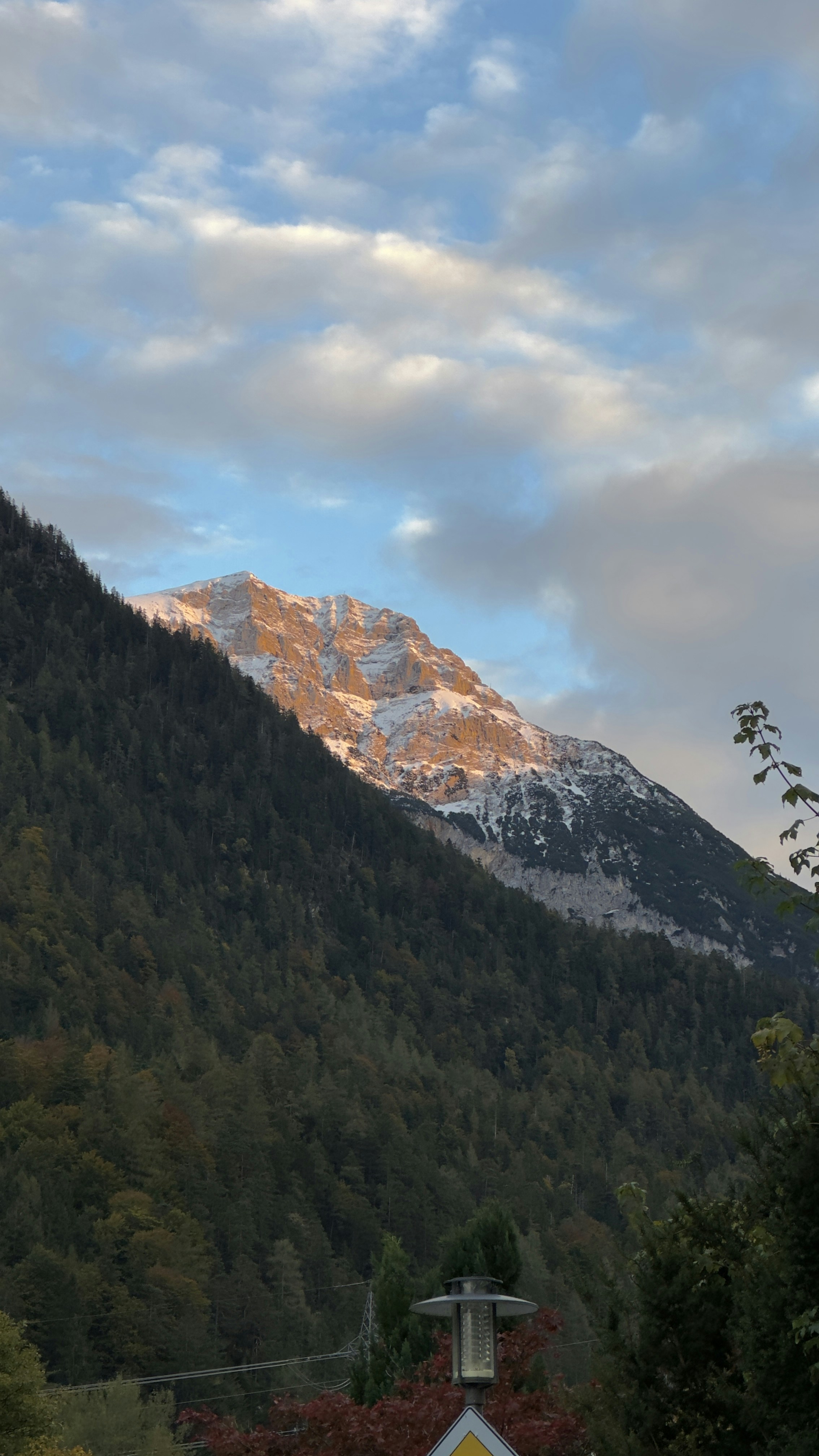 Zum Profil von Alexander X.