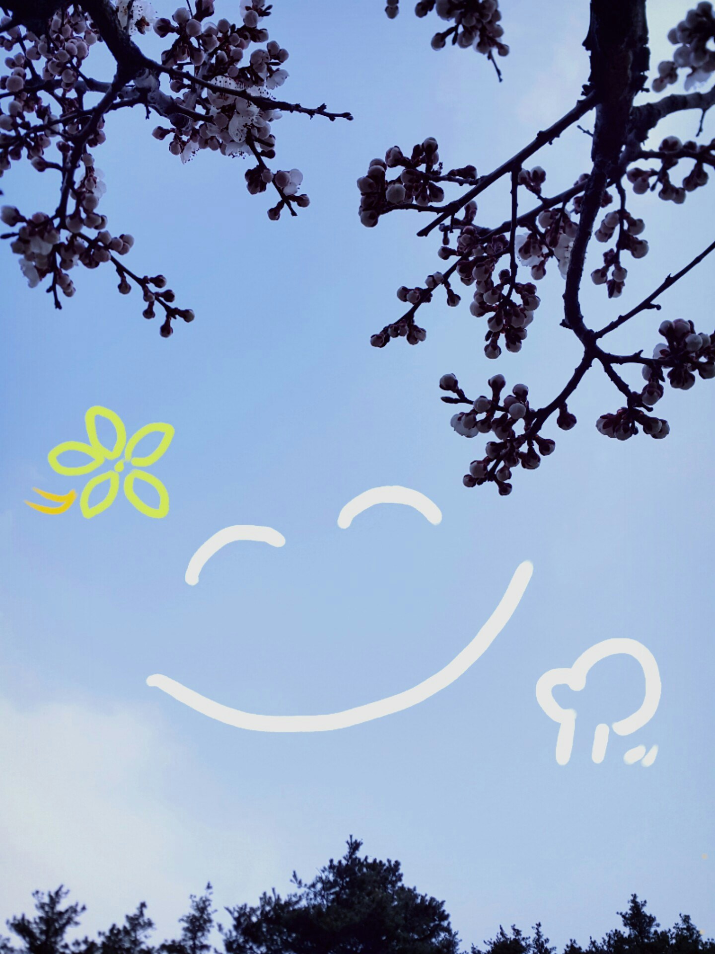 Go to sujin lee's profile