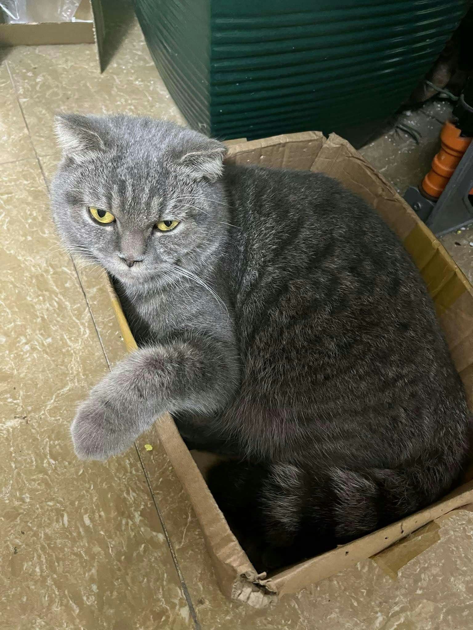 Go to duy duy's profile