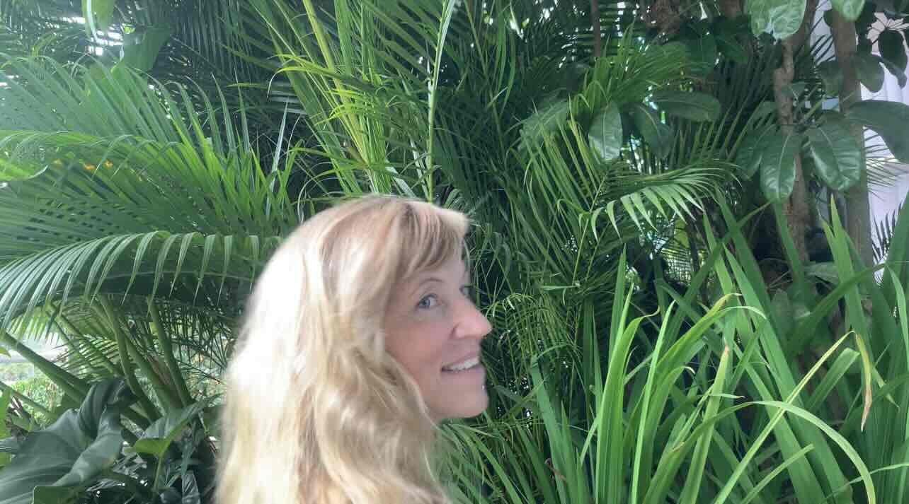 Go to Tannis Sullivan's profile