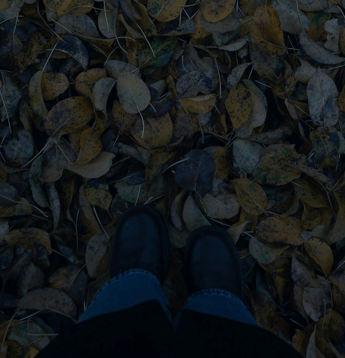 Go to Dariya G's profile