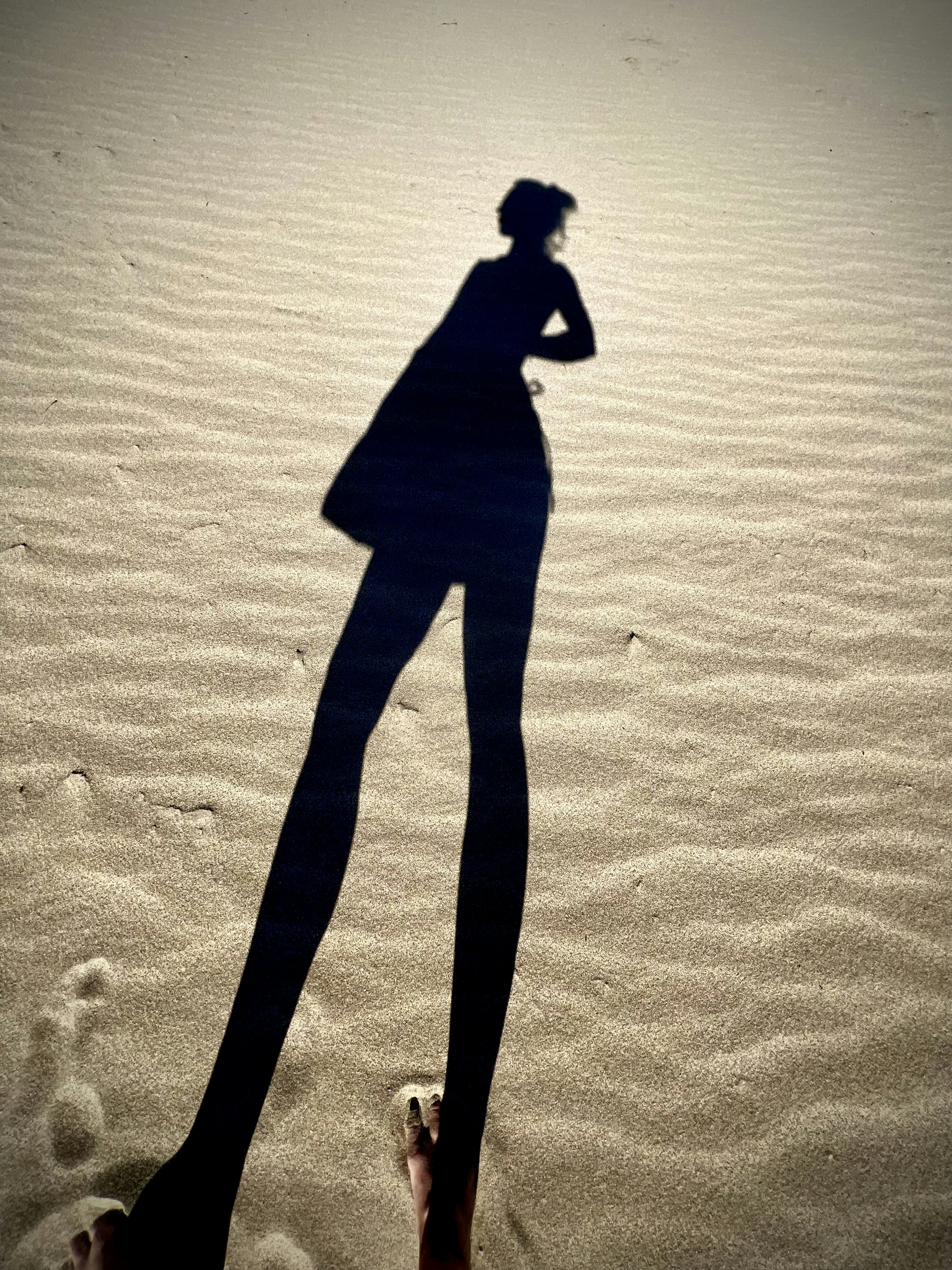 Go to Shelley M's profile