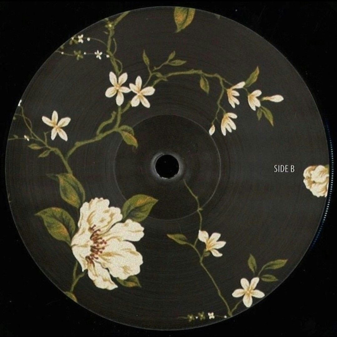 Ir para o perfil de Nelly G