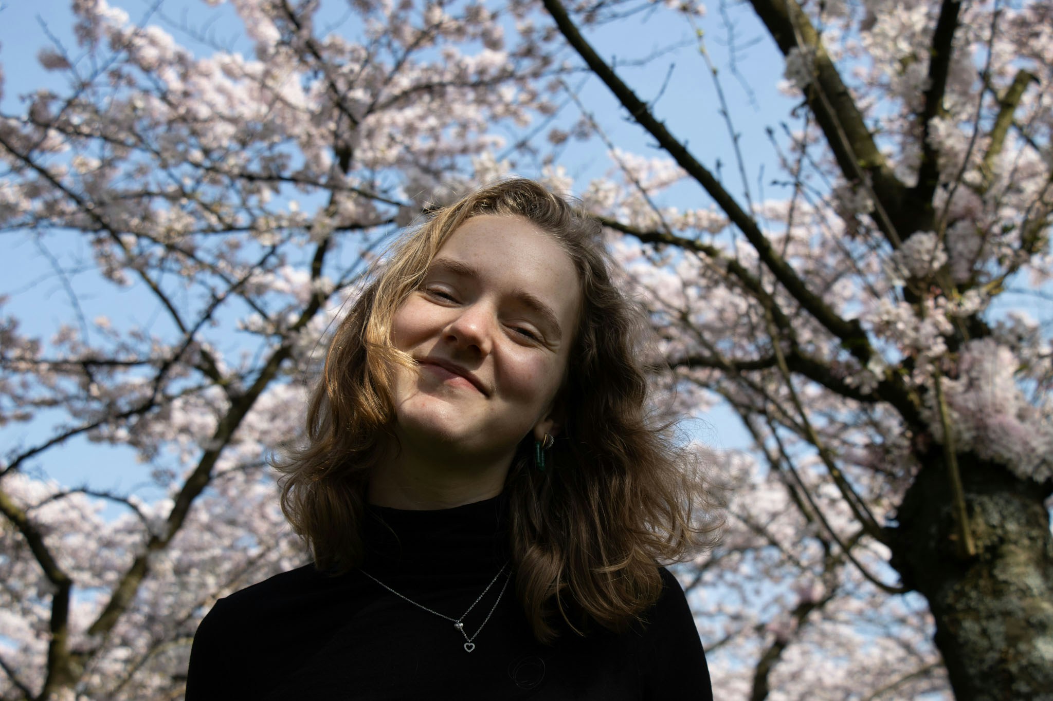 Dione Maarsen의 프로필로 이동