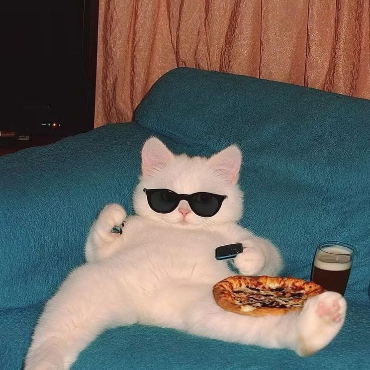 Avatar of user Piiko