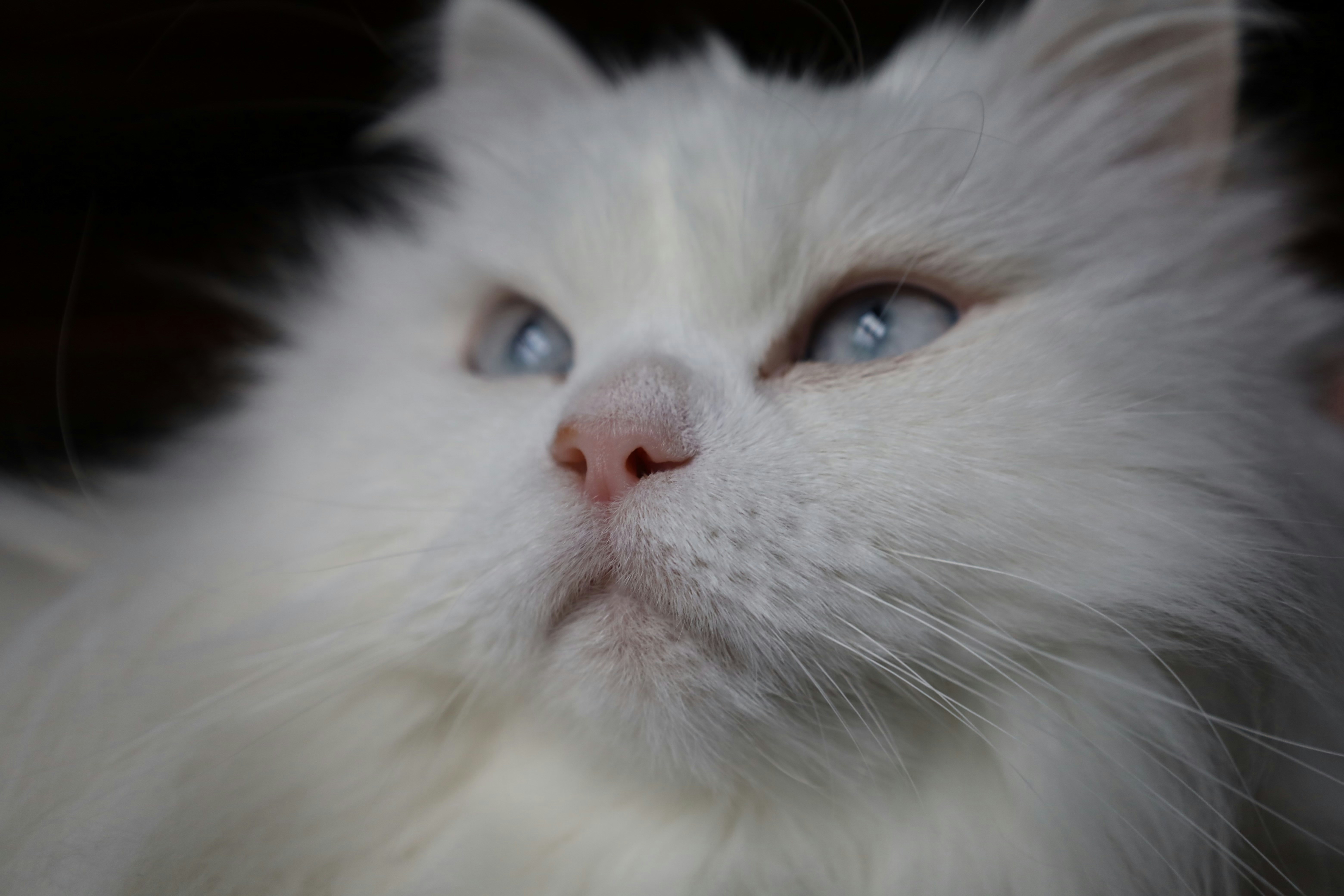 Go to Anastasia's profile