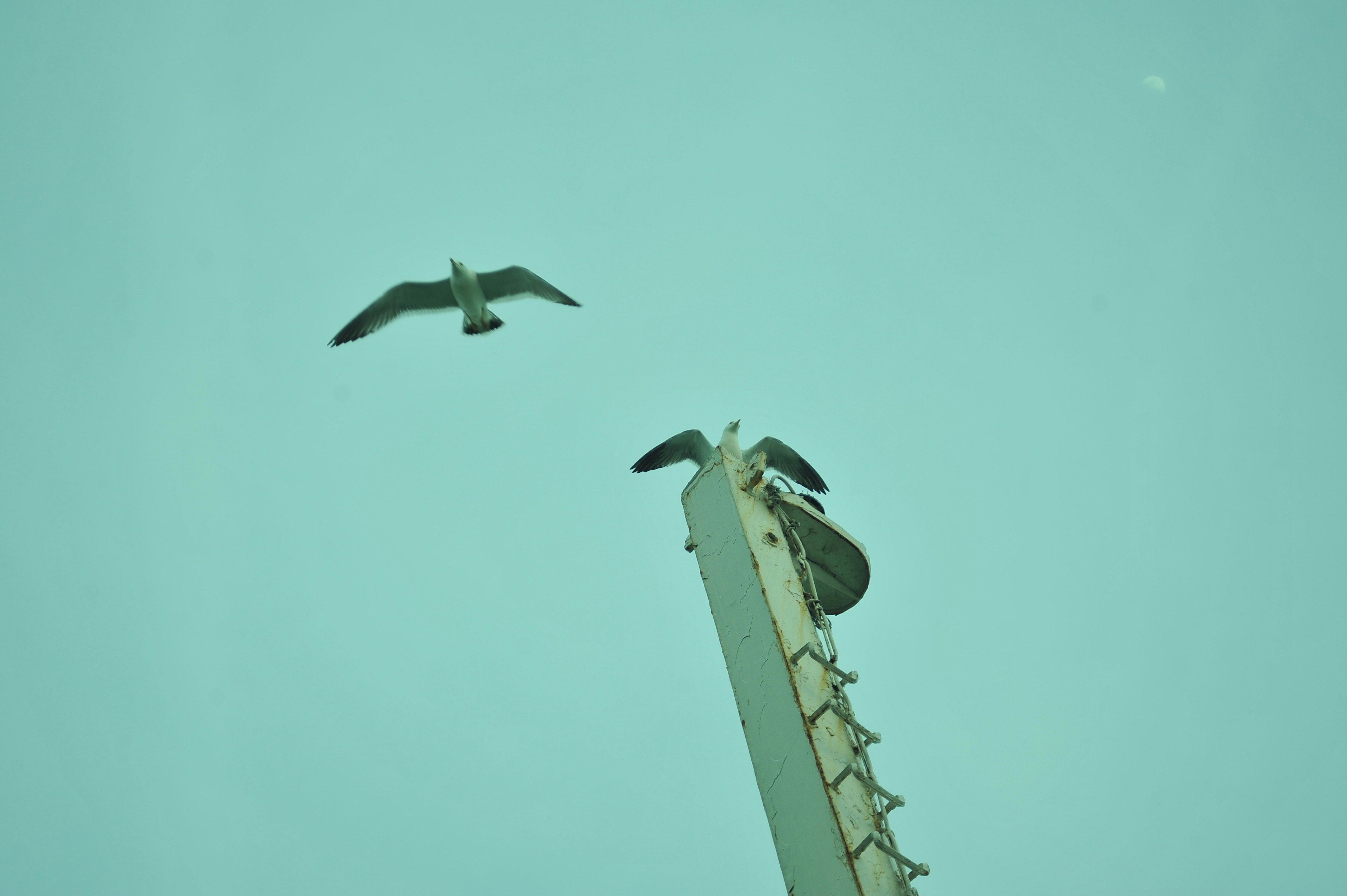 Go to Suhwi Kim's profile