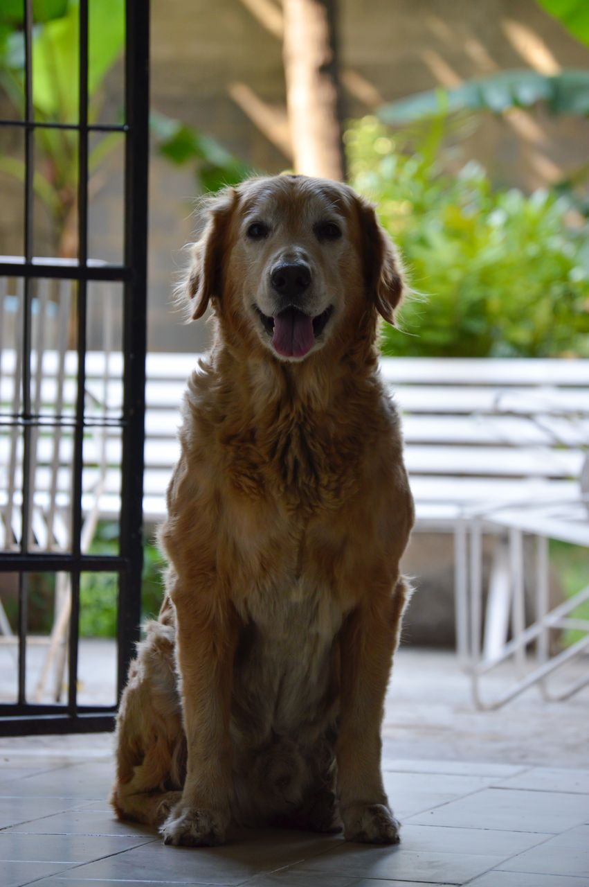 Go to Andrés Silva's profile