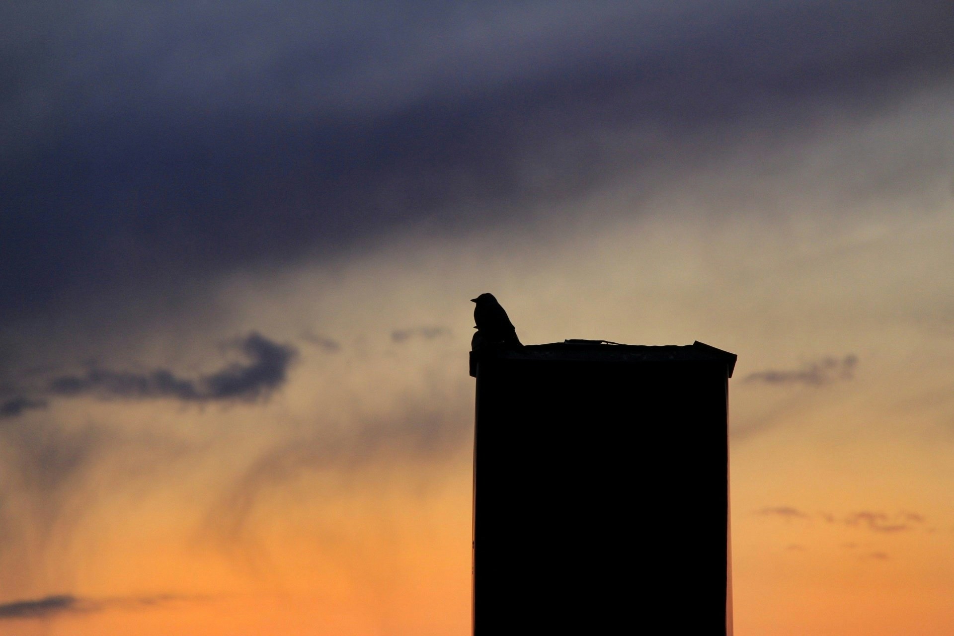 Go to Malin Strandvall's profile