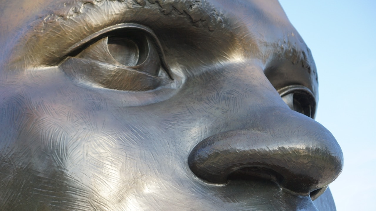 Go to Woof Premier's profile