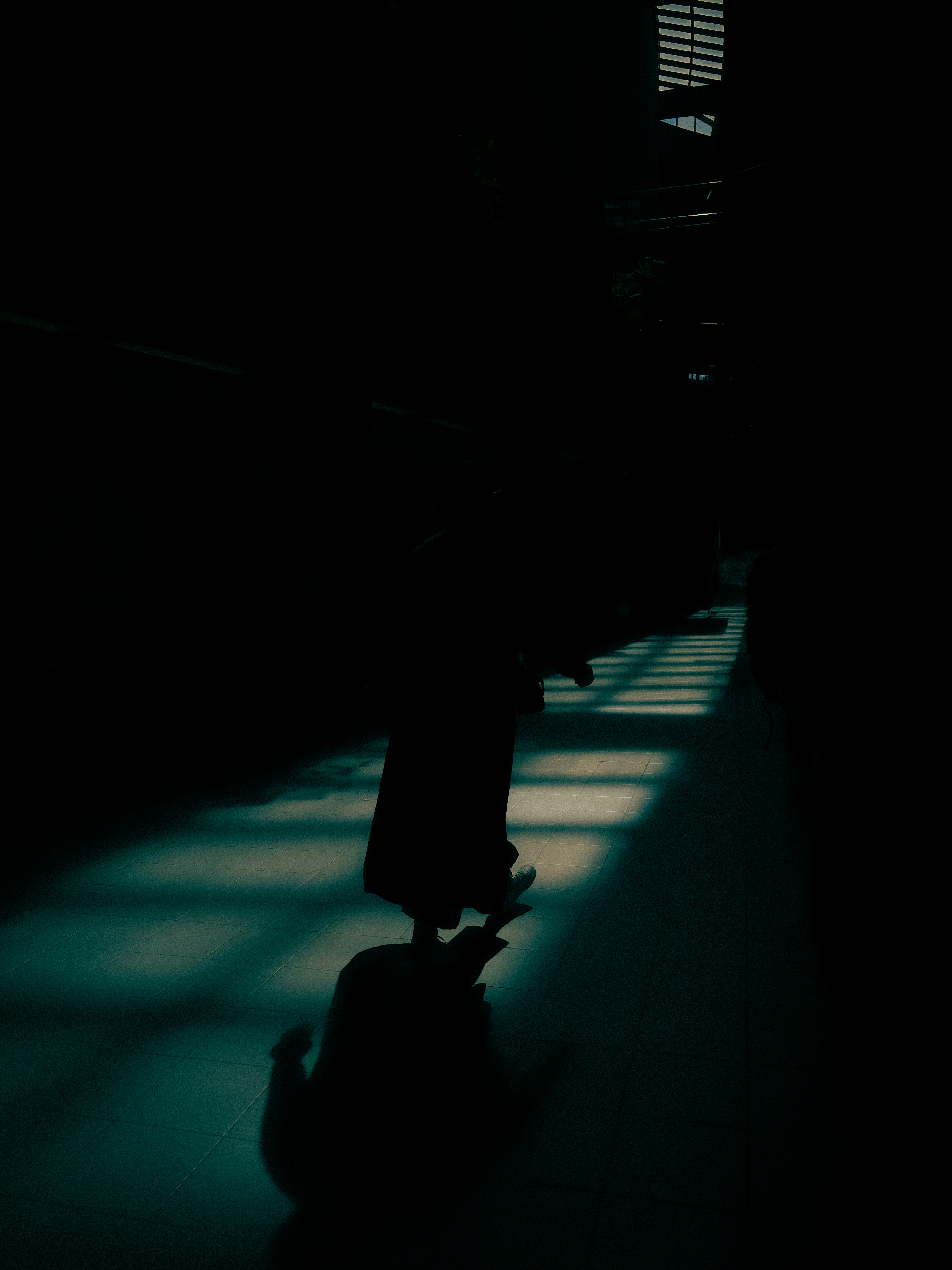 Ve al perfil de Saba