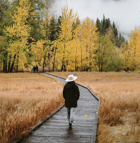 Go to Kaiya Inouye's profile