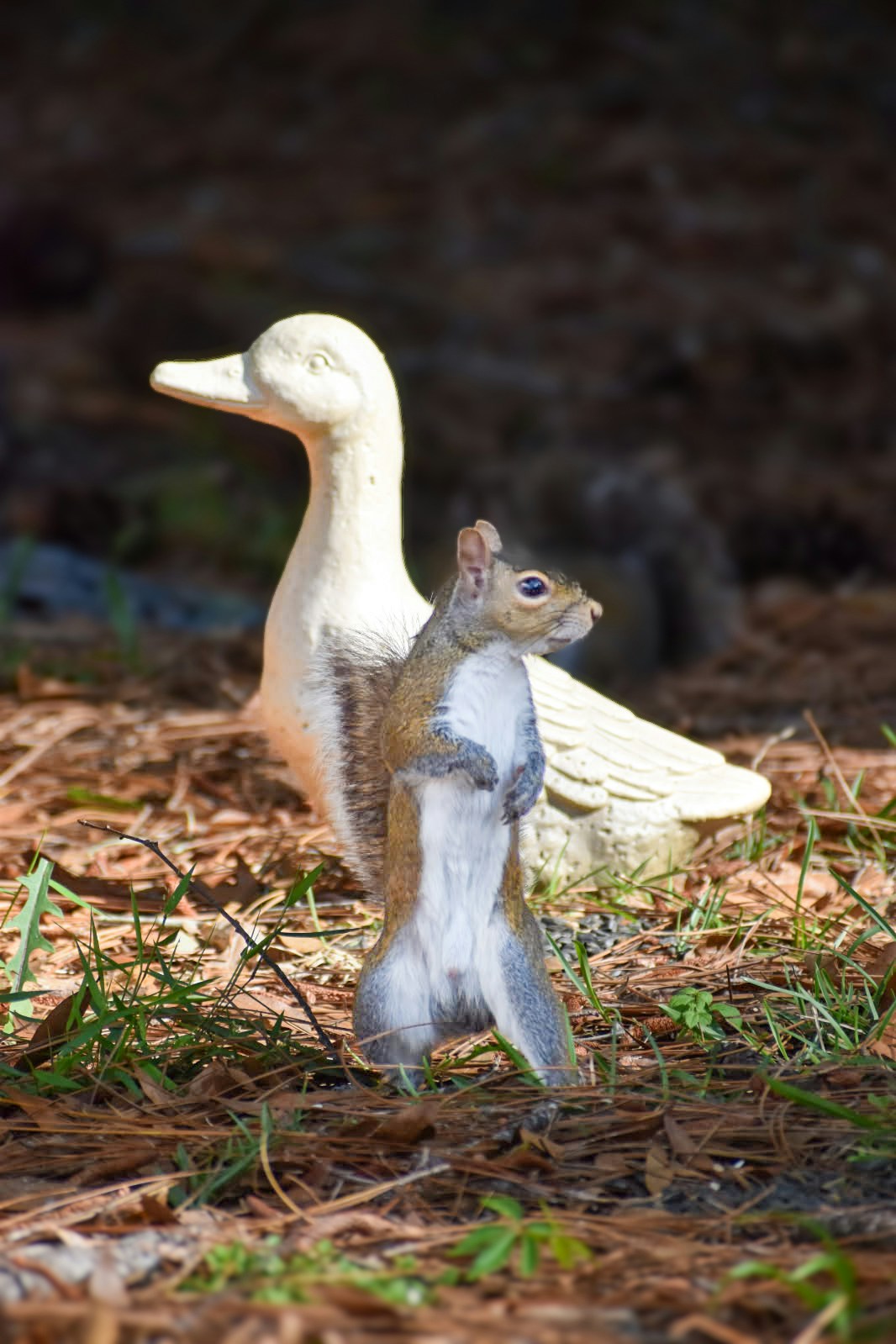 Ve al perfil de Tom Hutton