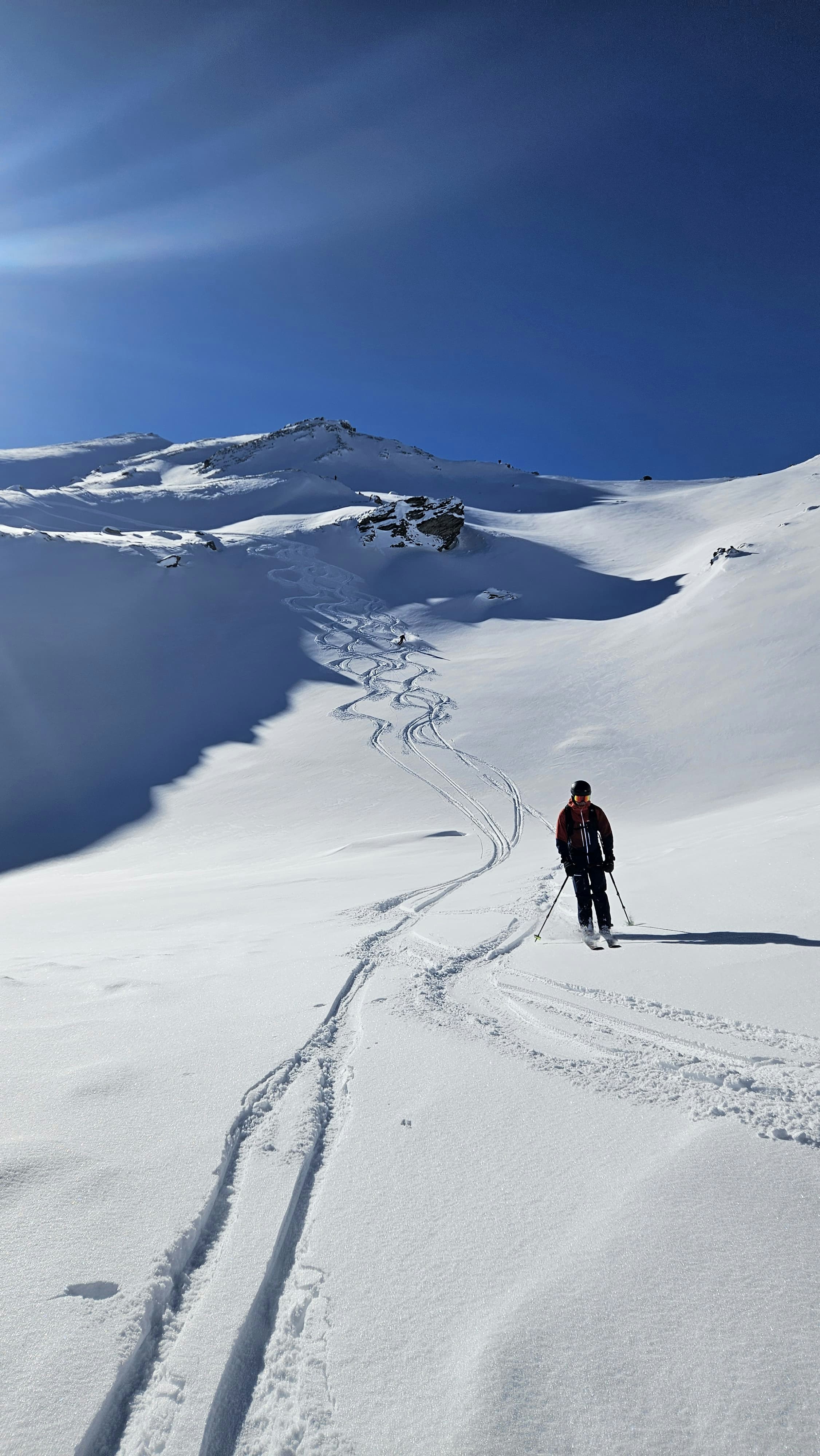 Go to Thierry Delafontaine's profile