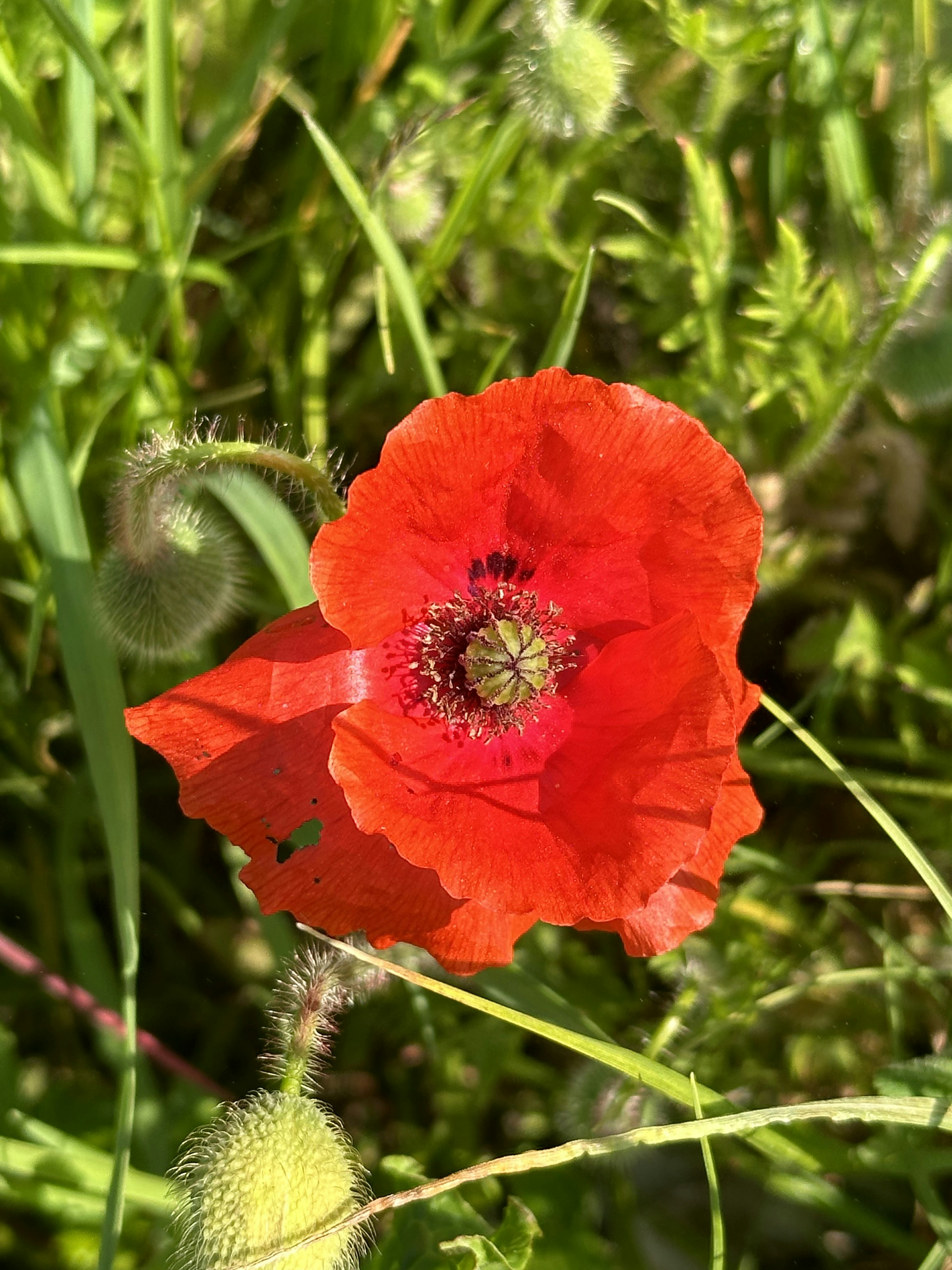 Go to Xander Gonera's profile